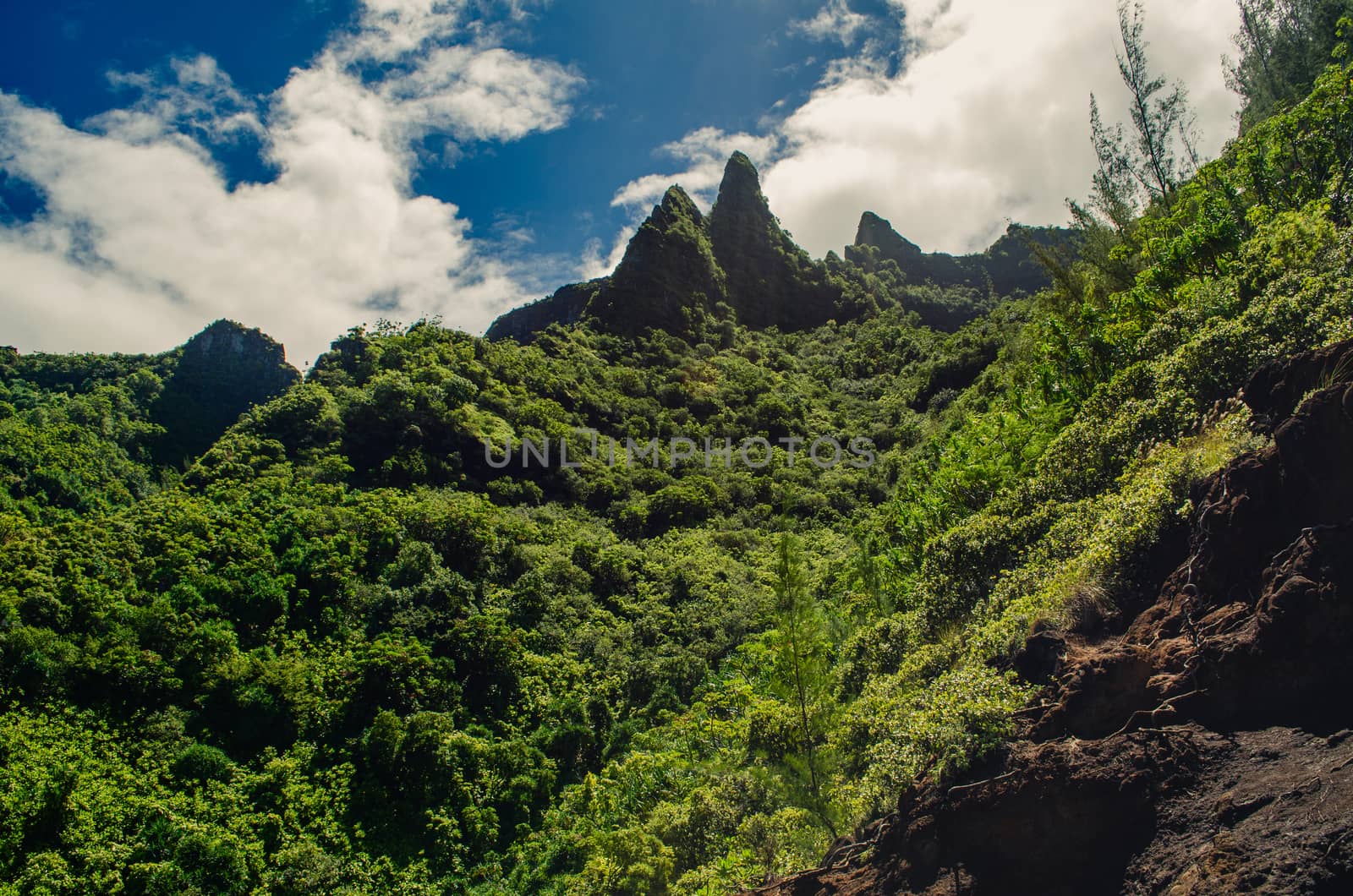 Abrupt peaks in Kalalau Trail, Hawaii, US by mikelju
