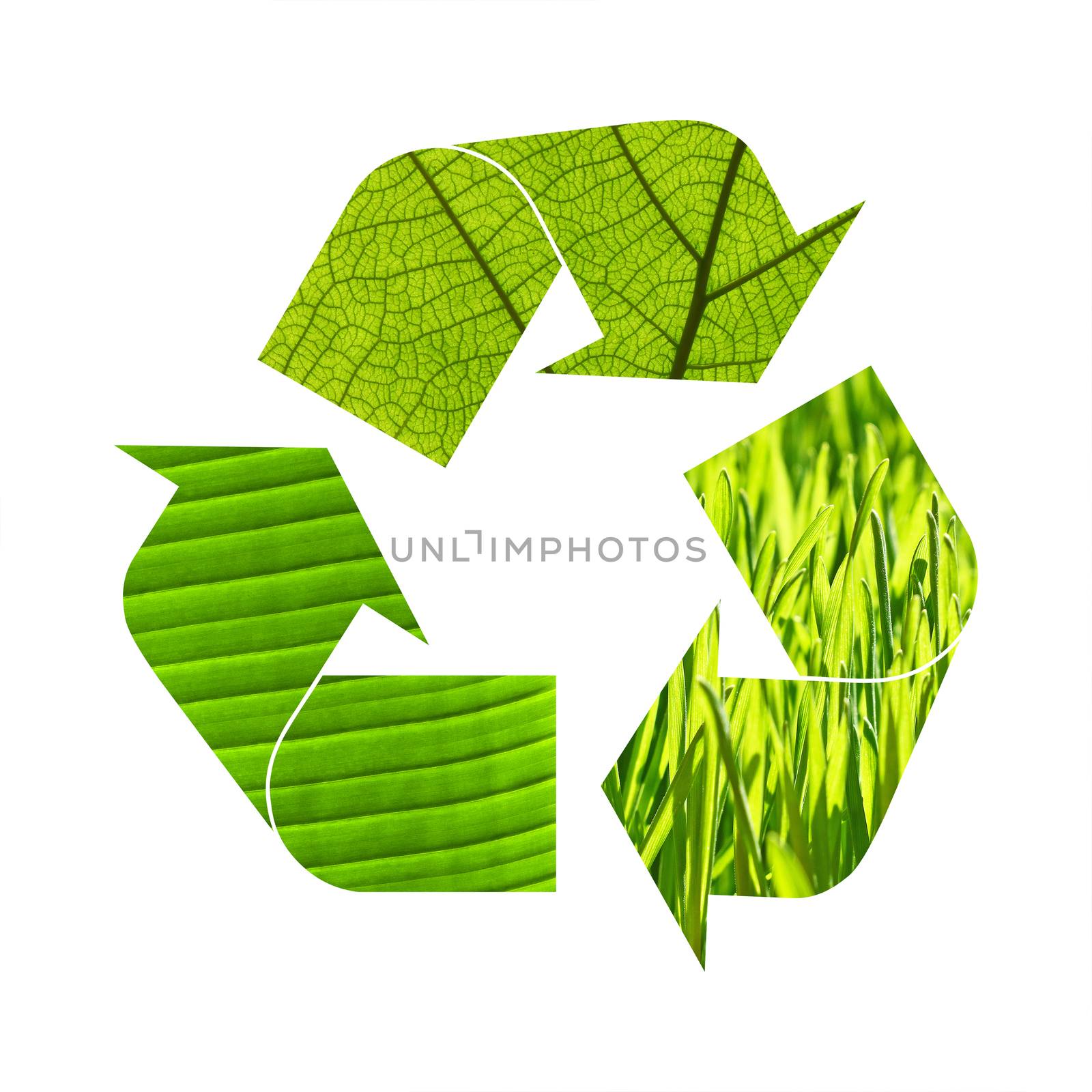 Illustration recycling symbol of green grass and leaves foliage isolated on white background