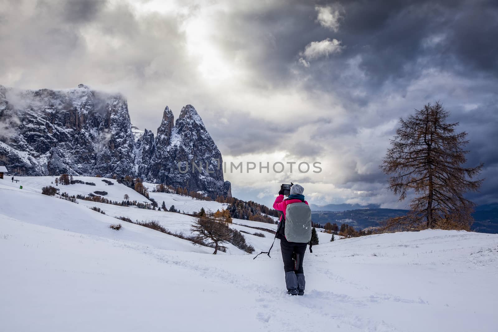 snowy early winter landscape in Alpe di Siusi.  Dolomites,  Ital by melis