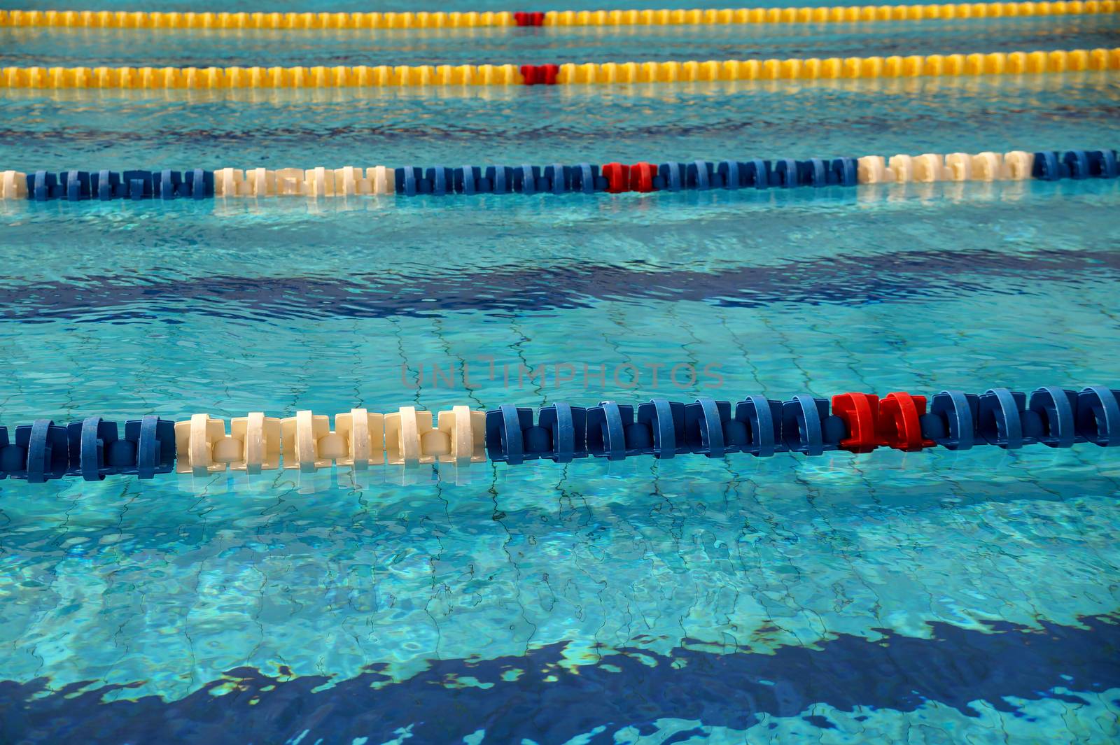 Dividers of paths in the big outdoor swimming pool