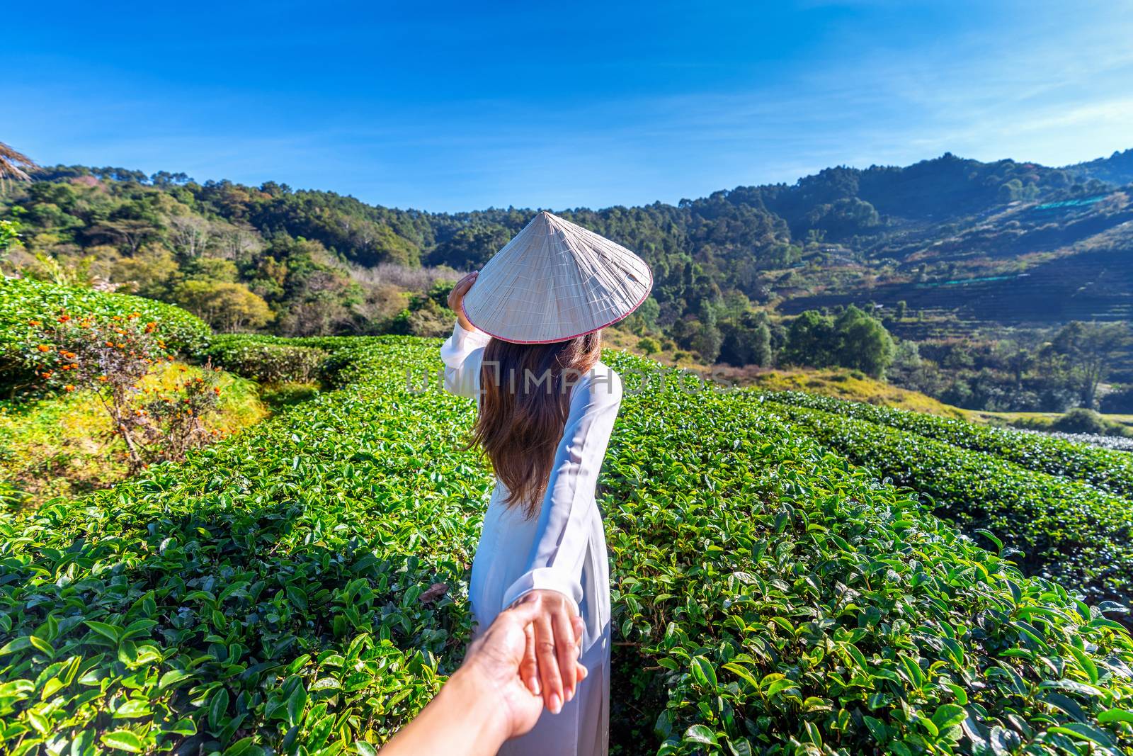 Asian woman wearing Vietnam culture traditional holding man's hand and leading him to green tea field.