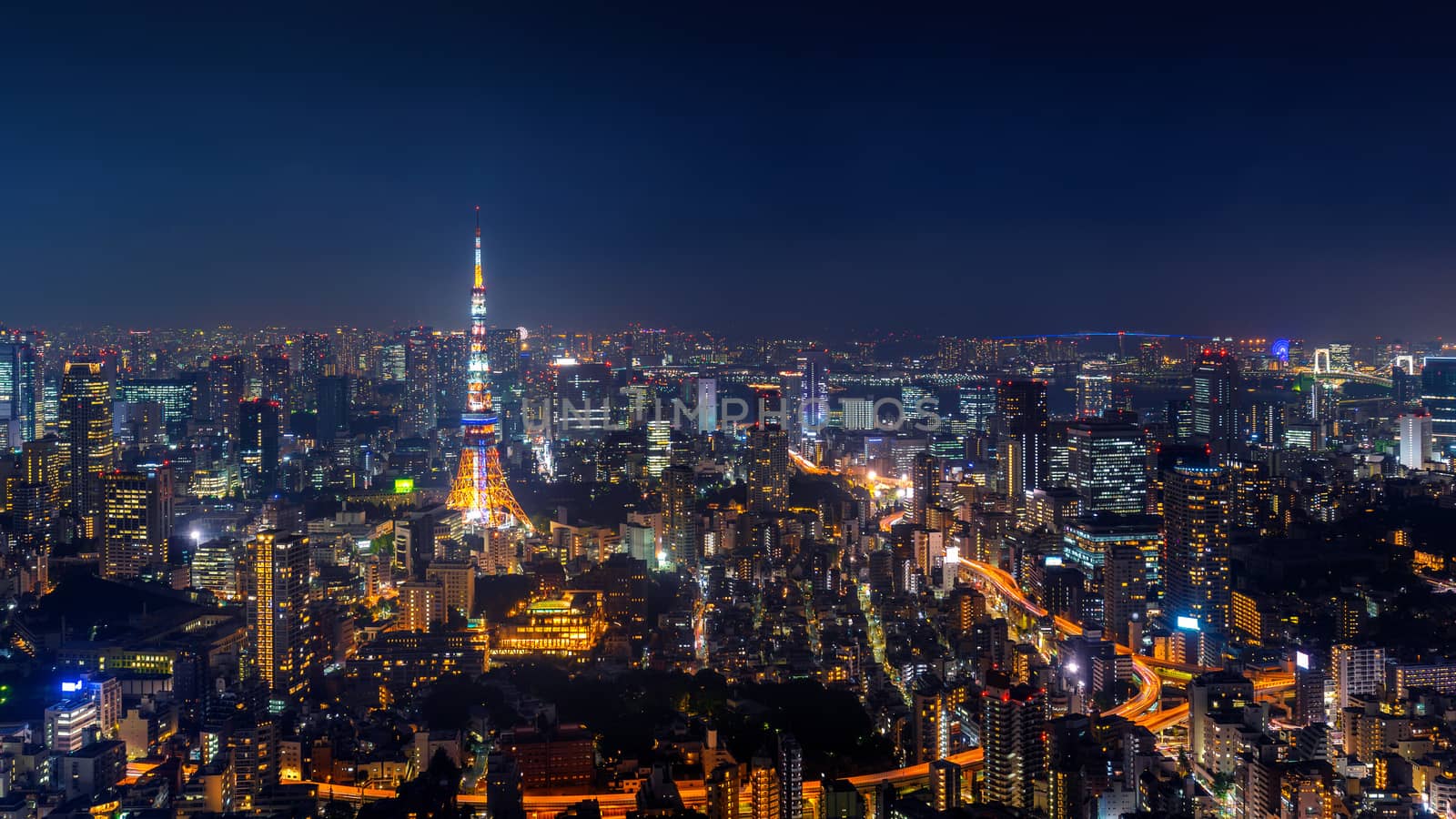 Panorama of Tokyo cityscape at night, Japan.
