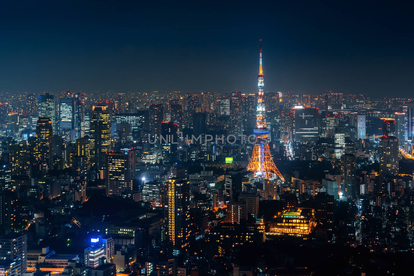 Tokyo cityscape at night, Japan. by gutarphotoghaphy