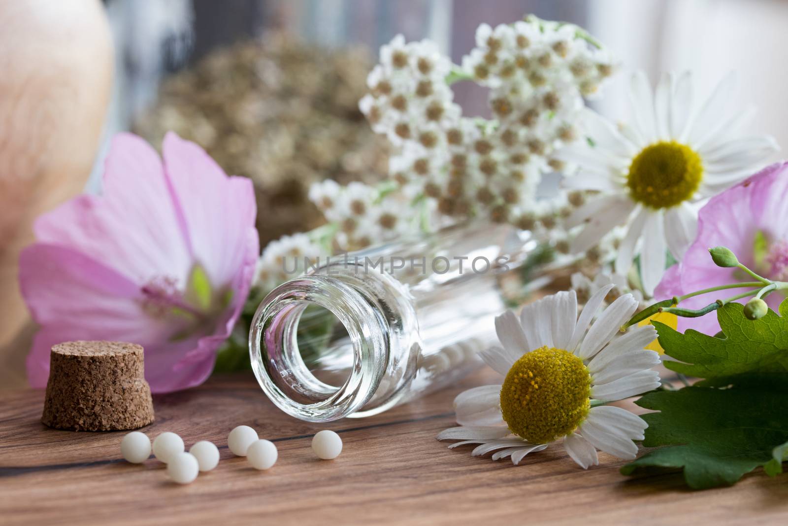 A bottle of homeopathic globules with chamomile, yarrow and other flowers in the background