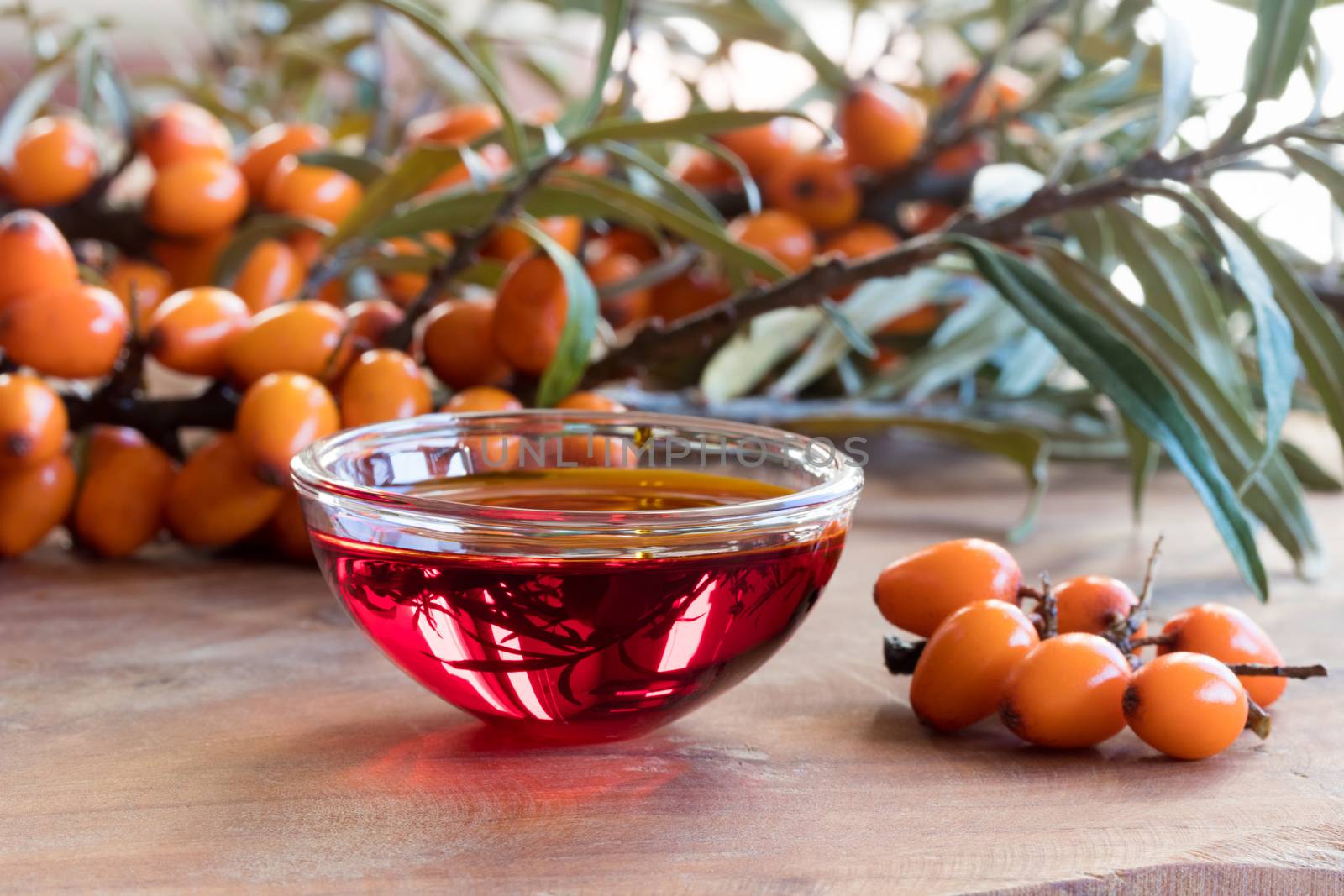 Sea buckthorn oil in a glass bowl with sea buckthorn branches by madeleine_steinbach