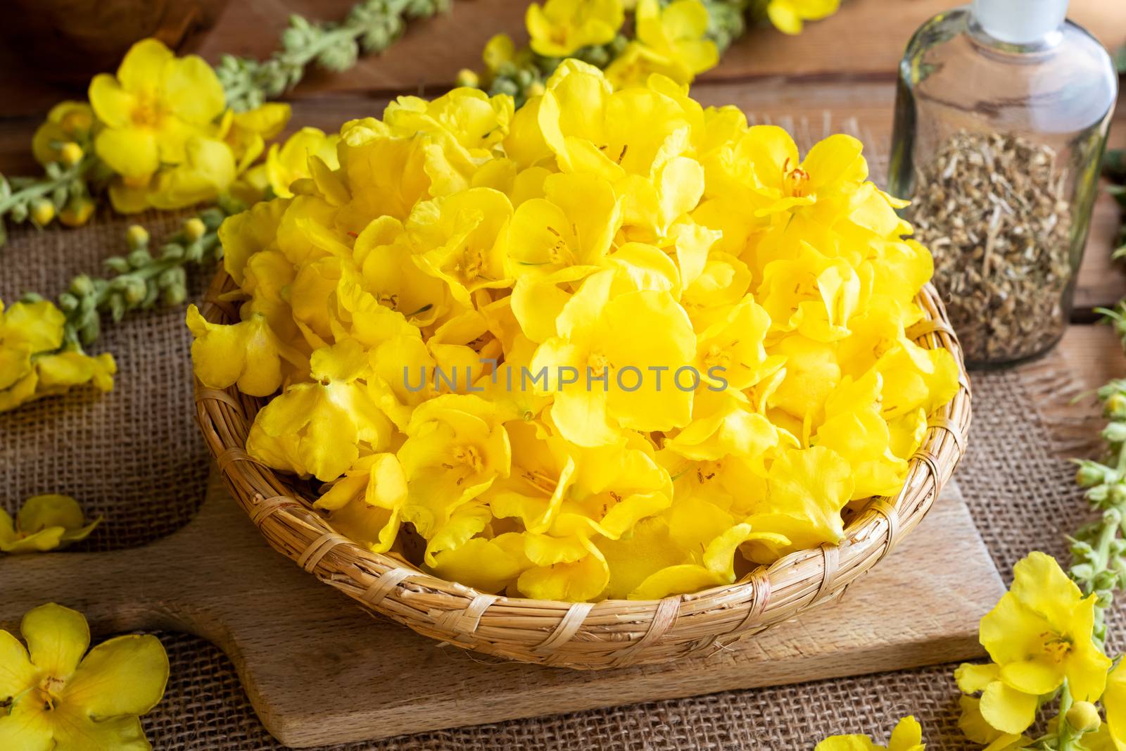 Fresh mullein flowers in a basket on a table