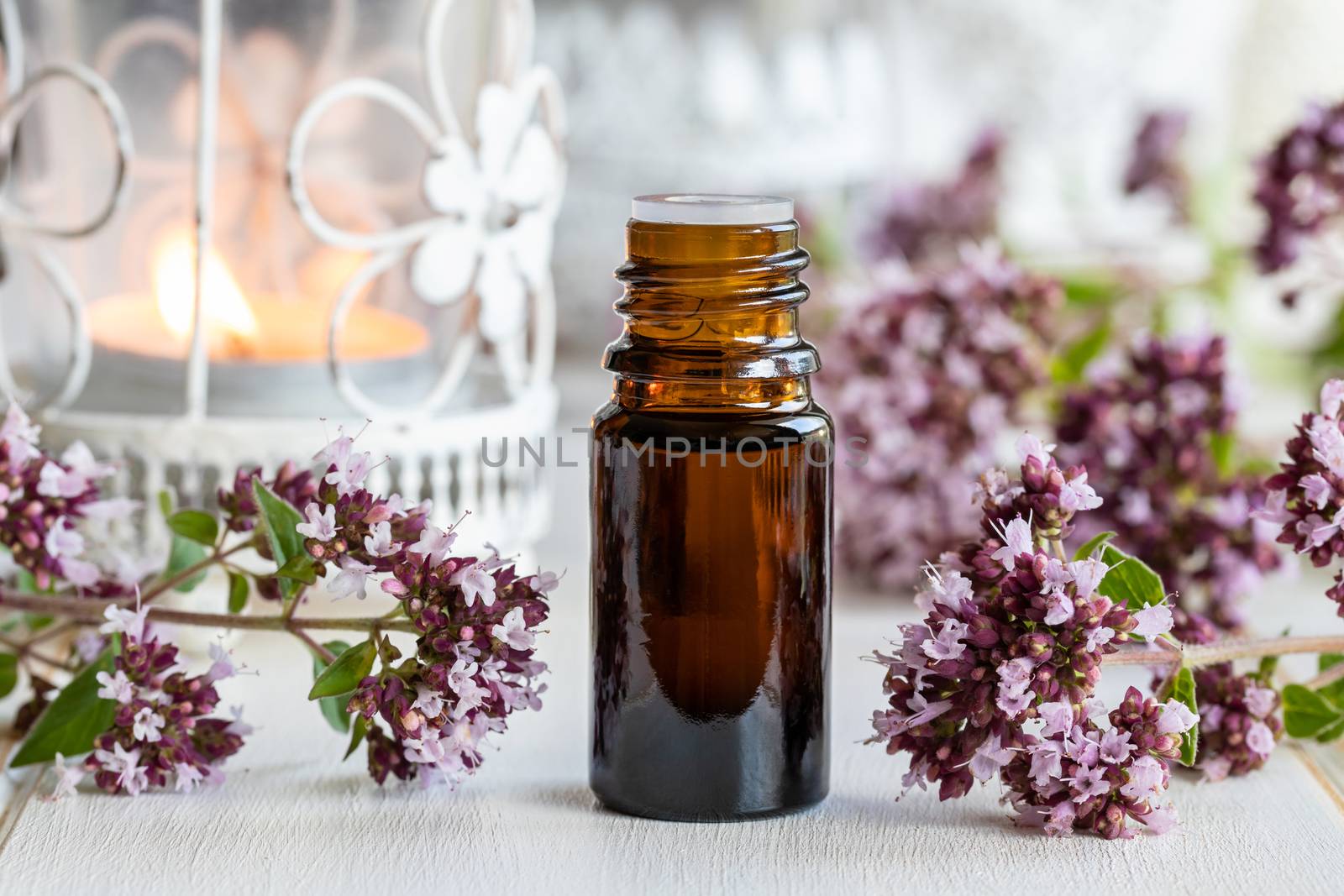 A bottle of oregano essential oil with fresh blooming oregano tw by madeleine_steinbach