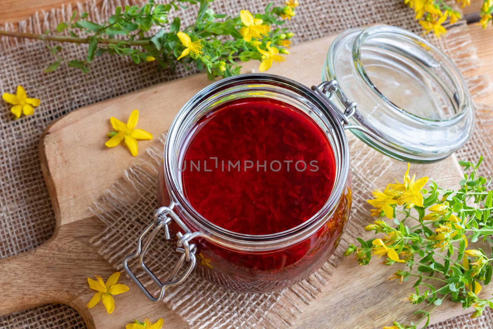 St. John's wort flowers macerating in olive oil which has turned red