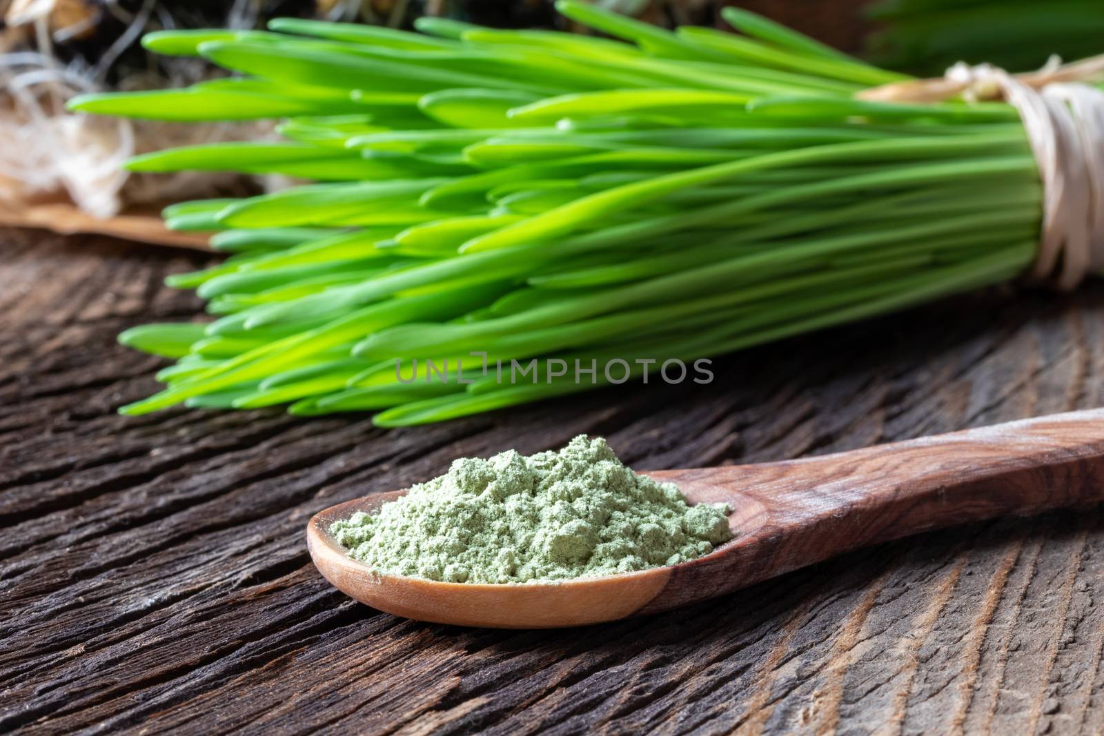 Barley grass powder on a spoon with freshly harvested blades by madeleine_steinbach