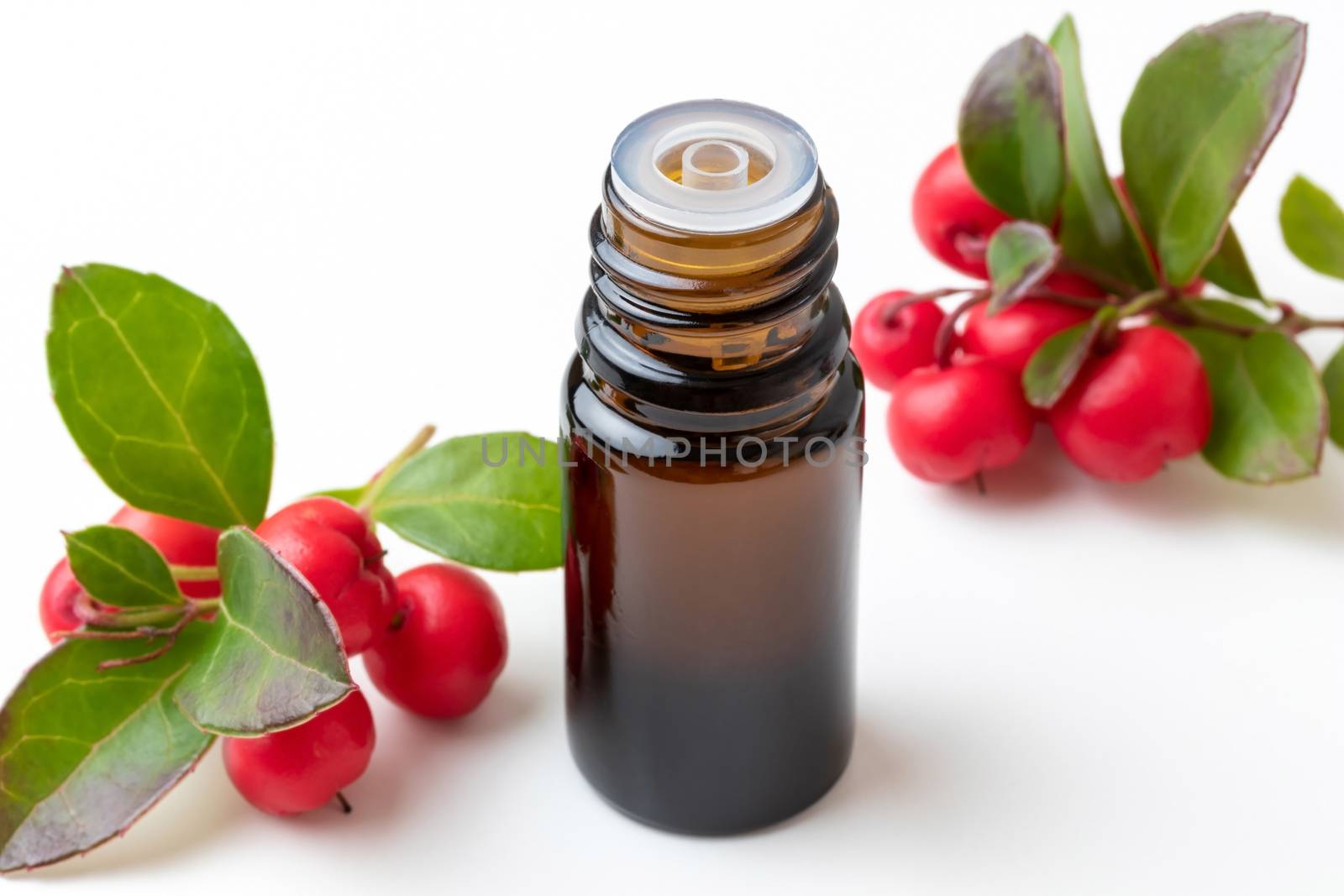 A bottle of essential oil with wintergreen leaves and berries on a white background