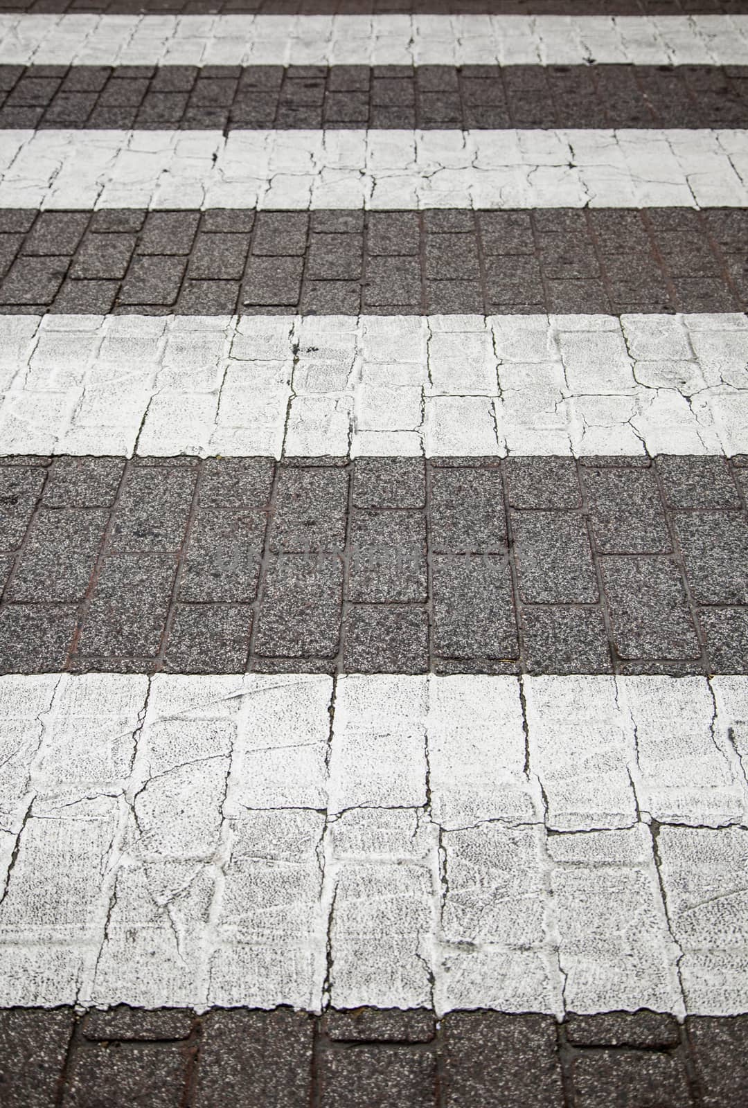Zebra crossing for pedestrians, circulation signal detail