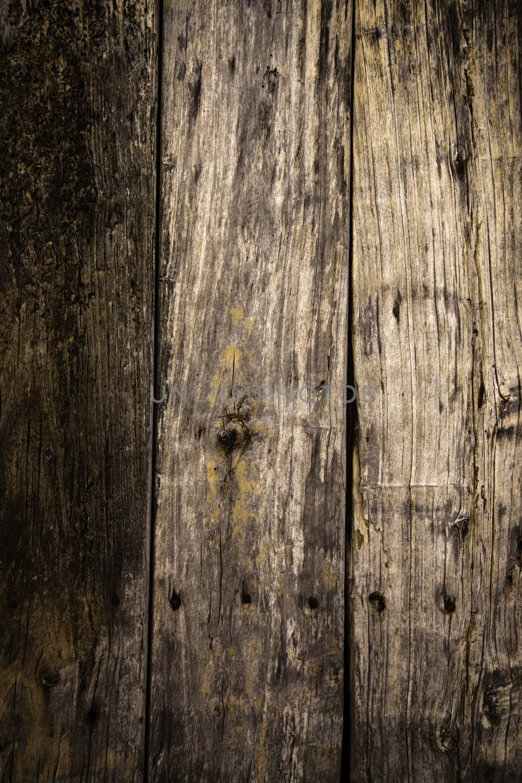 Old spoiled wood, detail of a wall decorated with abandoned wood