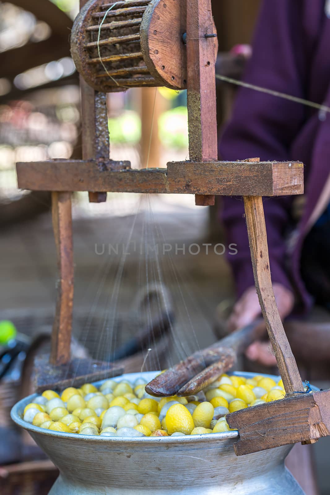 Silk production process boiling cocoon in a pot to prepare a cocoon silk , Boiled silk nest to be silk