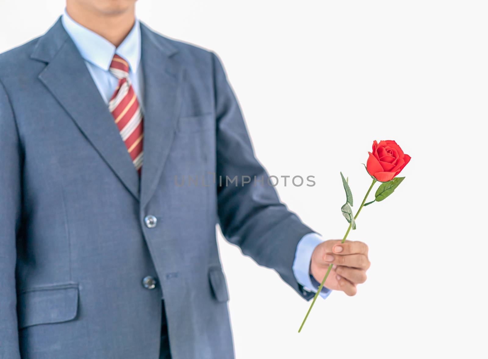 Close up photo of businessman in suit holding with red rose on white background