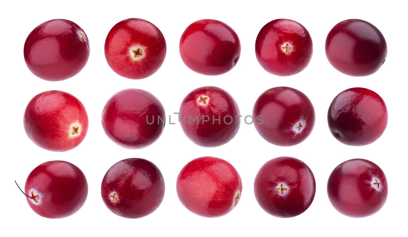 Cranberries collection, cranberry isolated on white background with clipping path