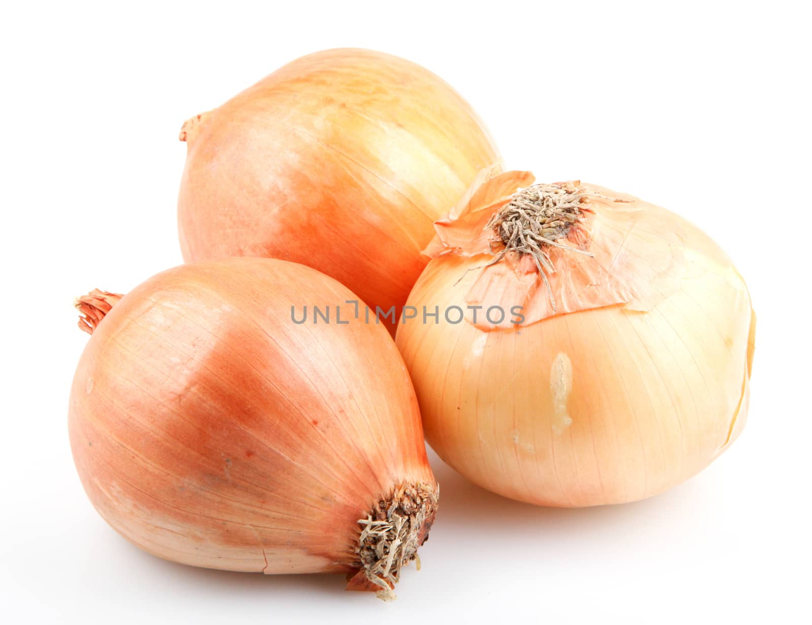 Fresh onion bulbs isolated on white background by nenovbrothers