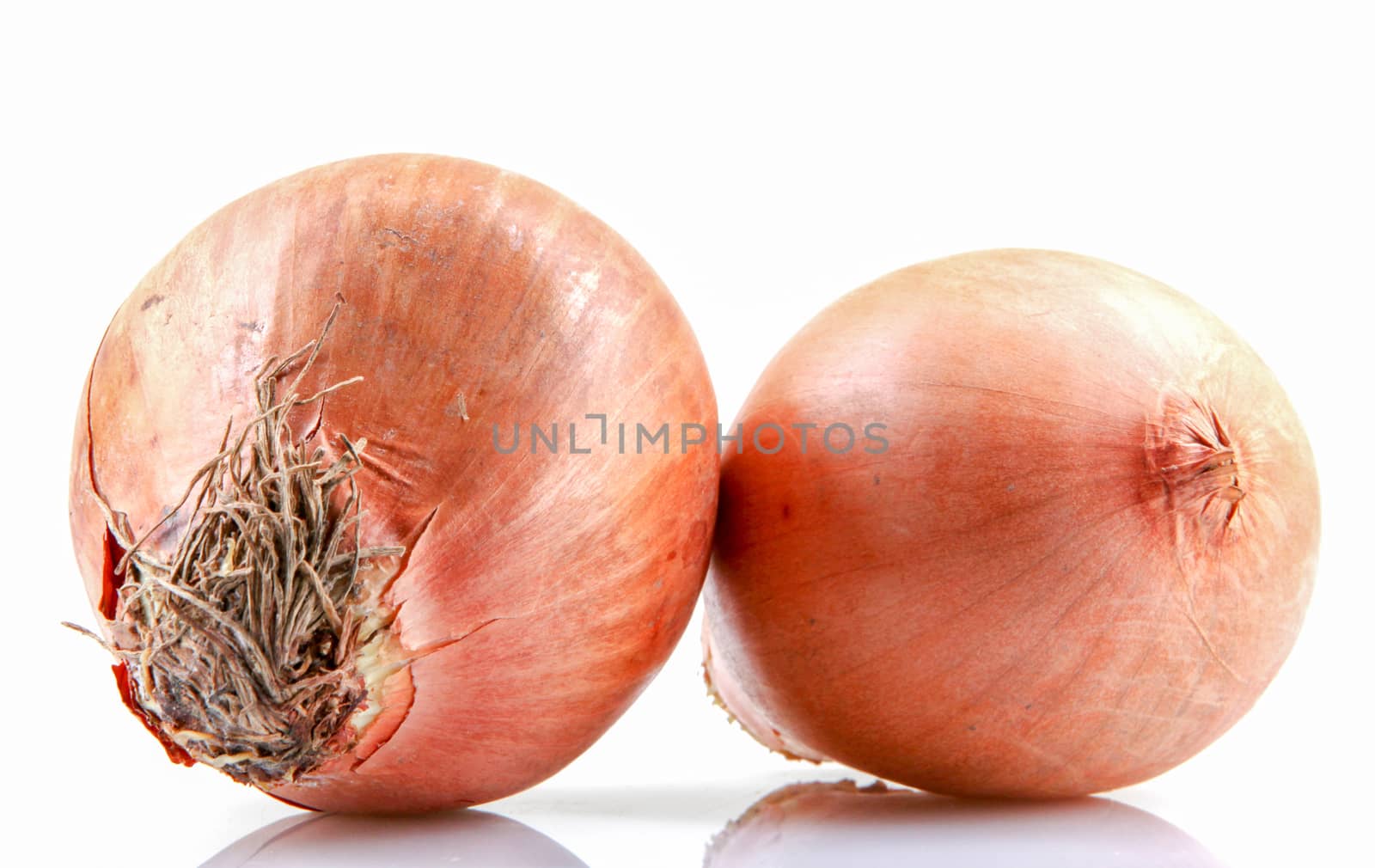 Fresh onion bulbs isolated on white background by nenovbrothers