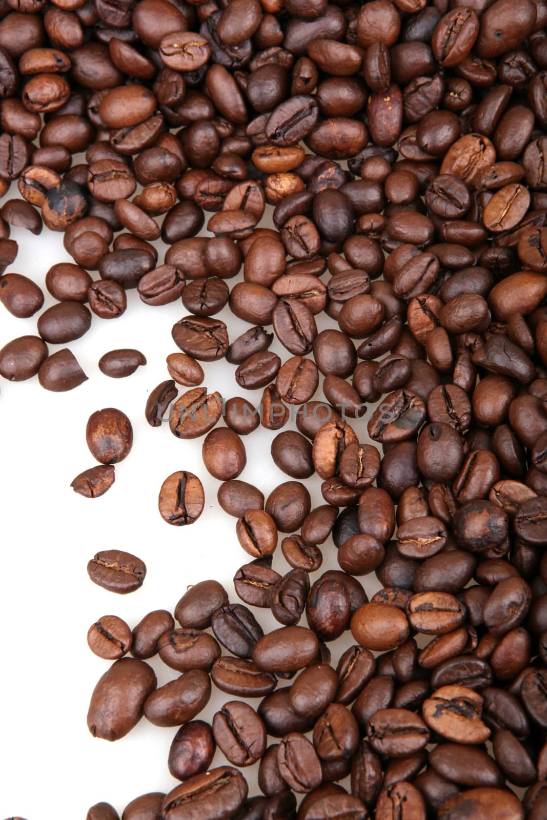 Coffee Beans isolated on white by nenovbrothers