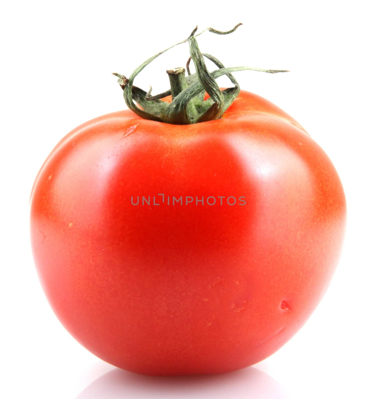 Close-Up Of Red Tomatoes On White Background. by nenovbrothers