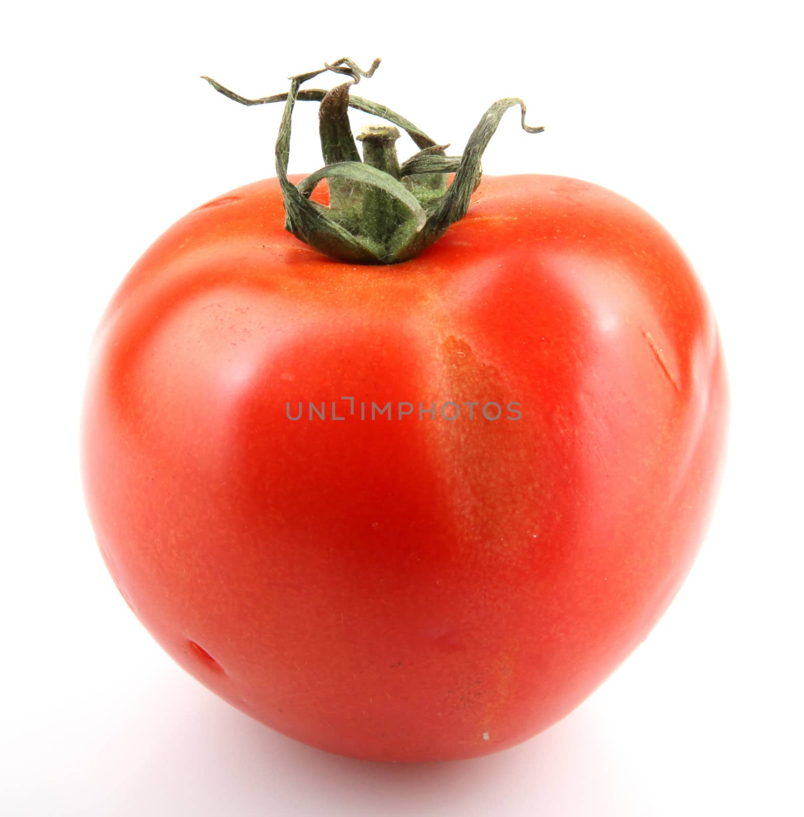 Close-Up Of Red Tomatoes On White Background. by nenovbrothers