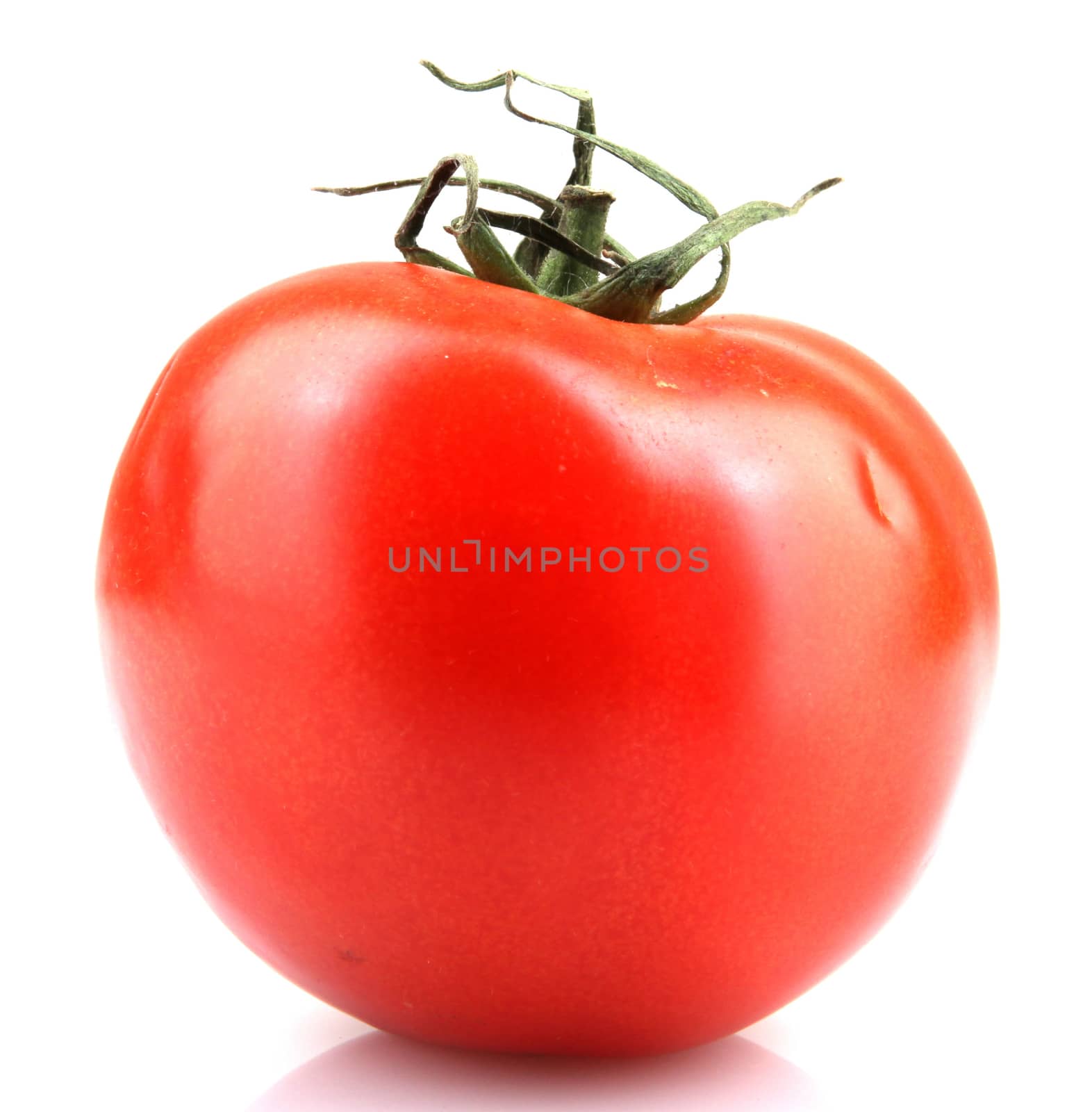 Close-Up Of Red Tomatoes On White Background.