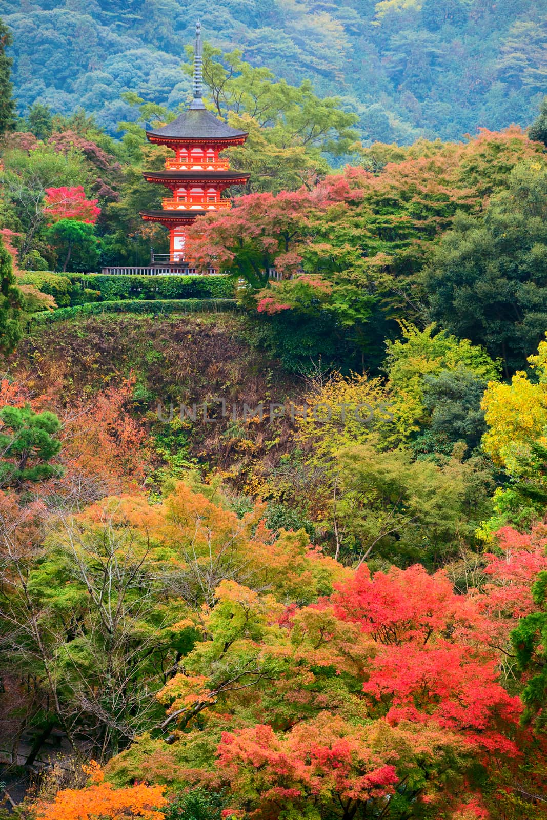 Koyasu pagoda at Kiyomizu-dera Temple area in the autumn season, Kyoto by zhu_zhu