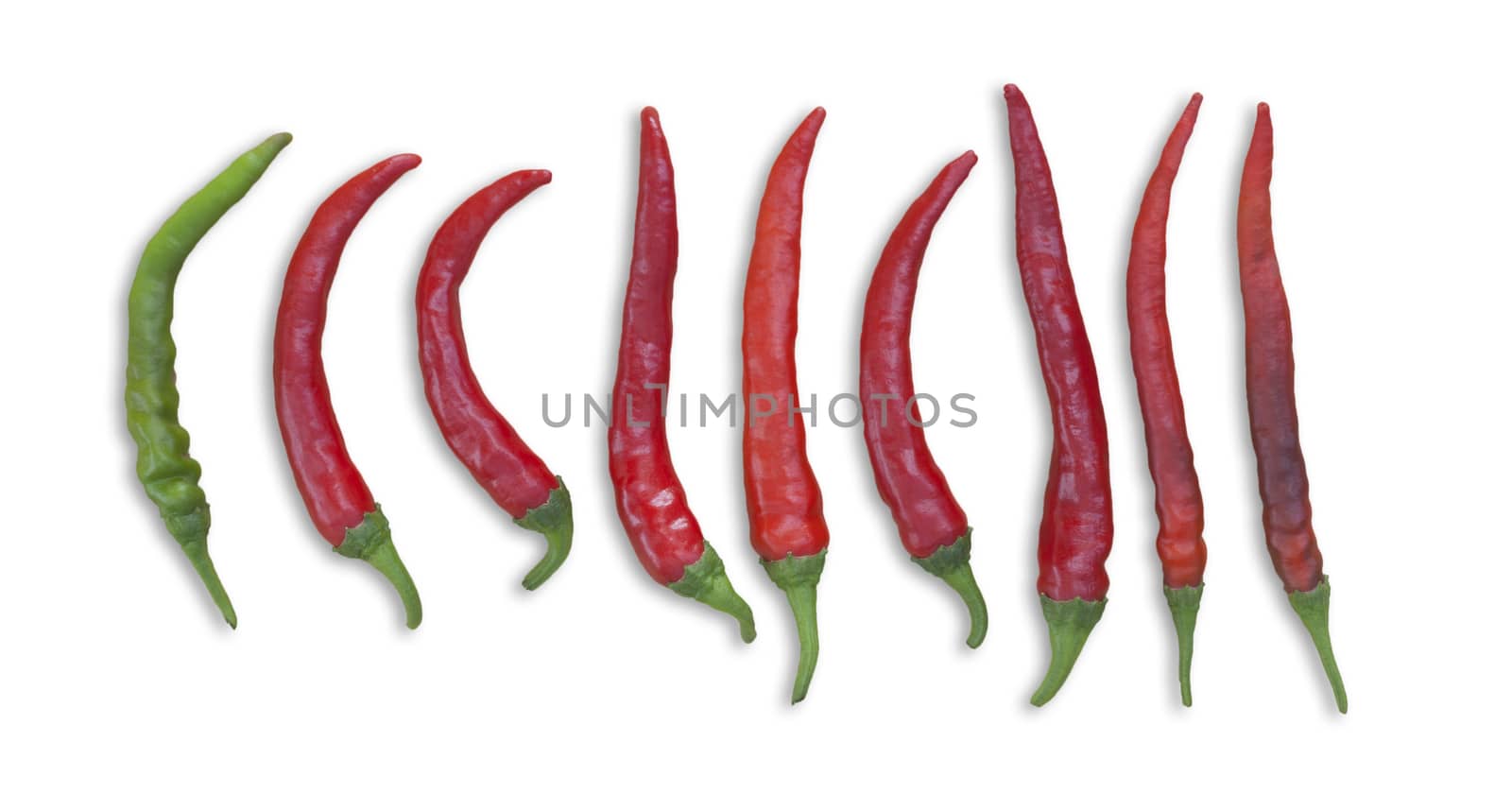 red chilis in a row with one single green chili pepper
