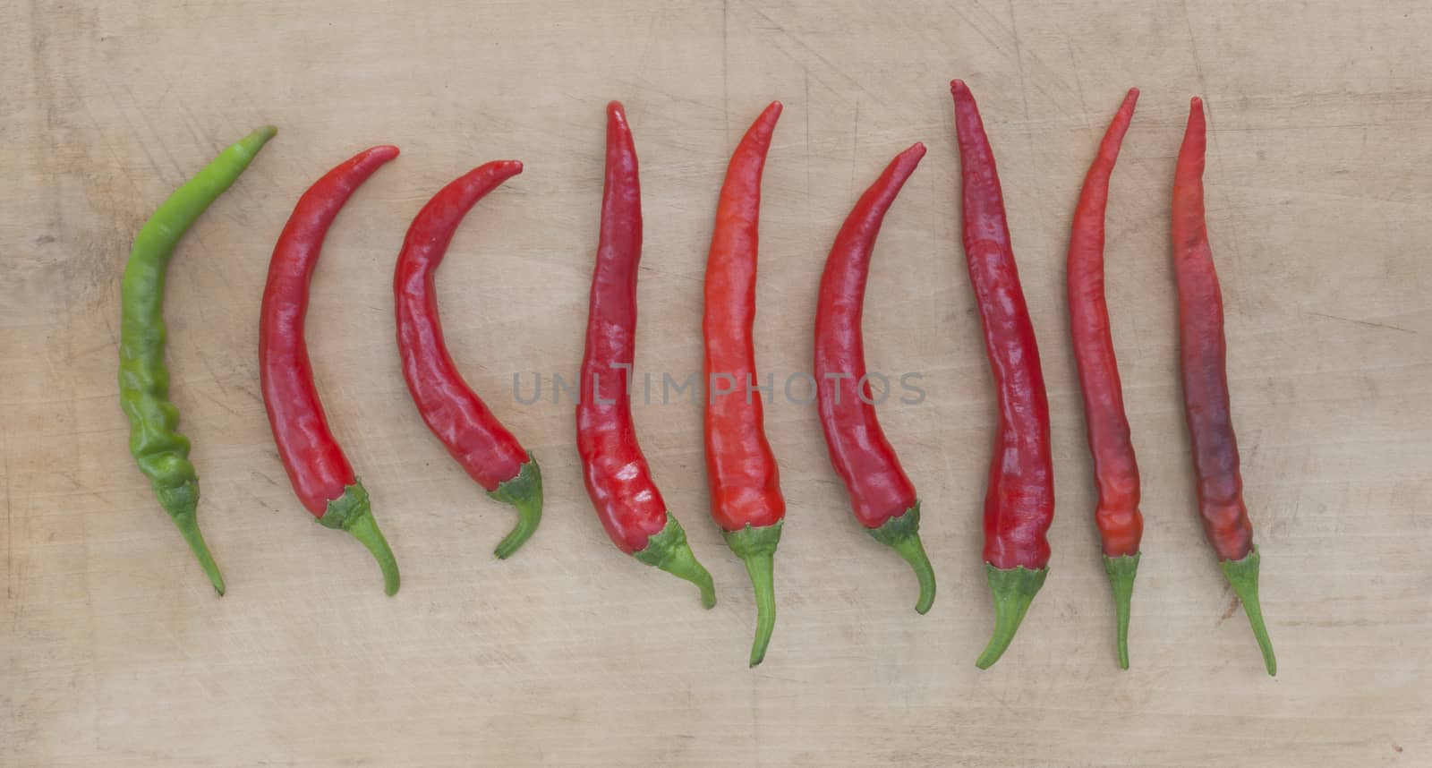 red chilis in a row with one single green chili pepper