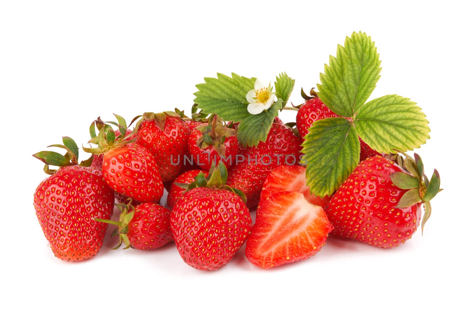 Strawberries with leaves and flower isolated on white background