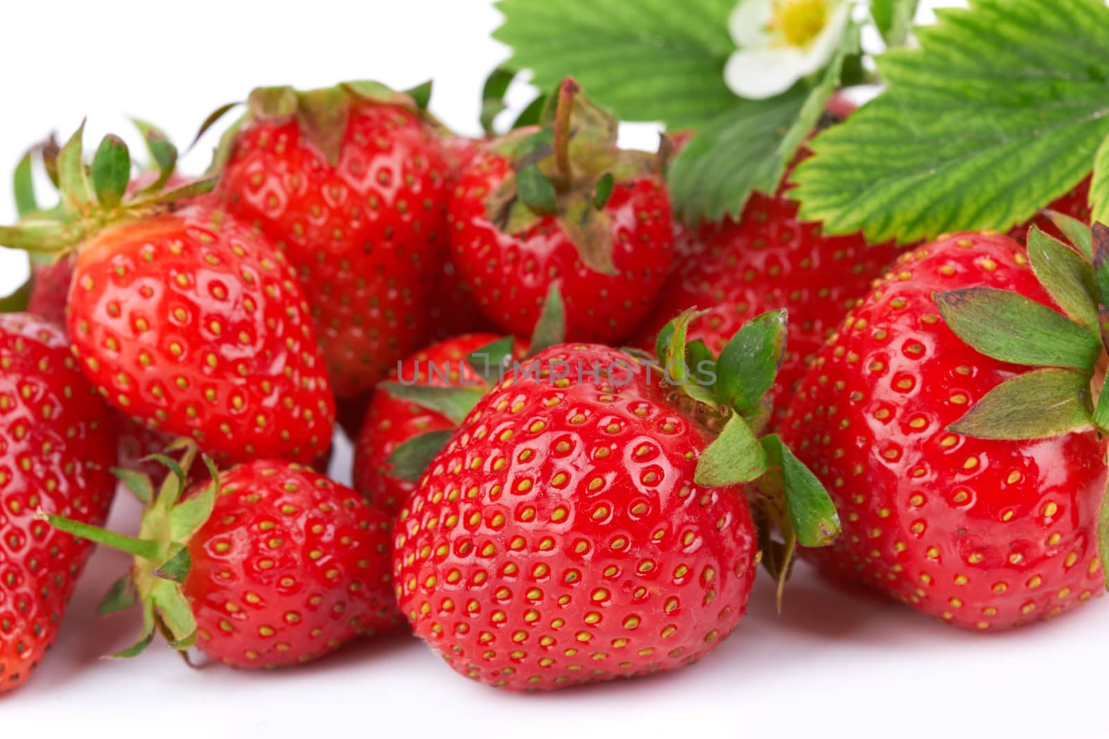 Strawberries with leaves and flower as a background