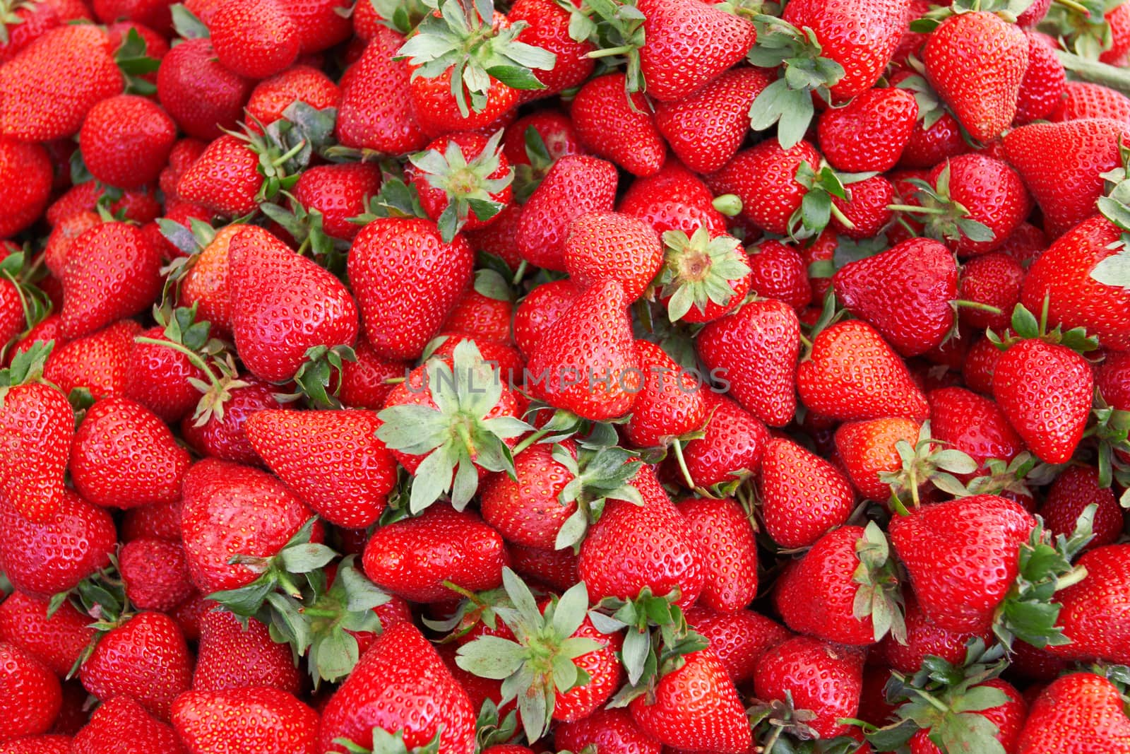 strawberries by pioneer111
