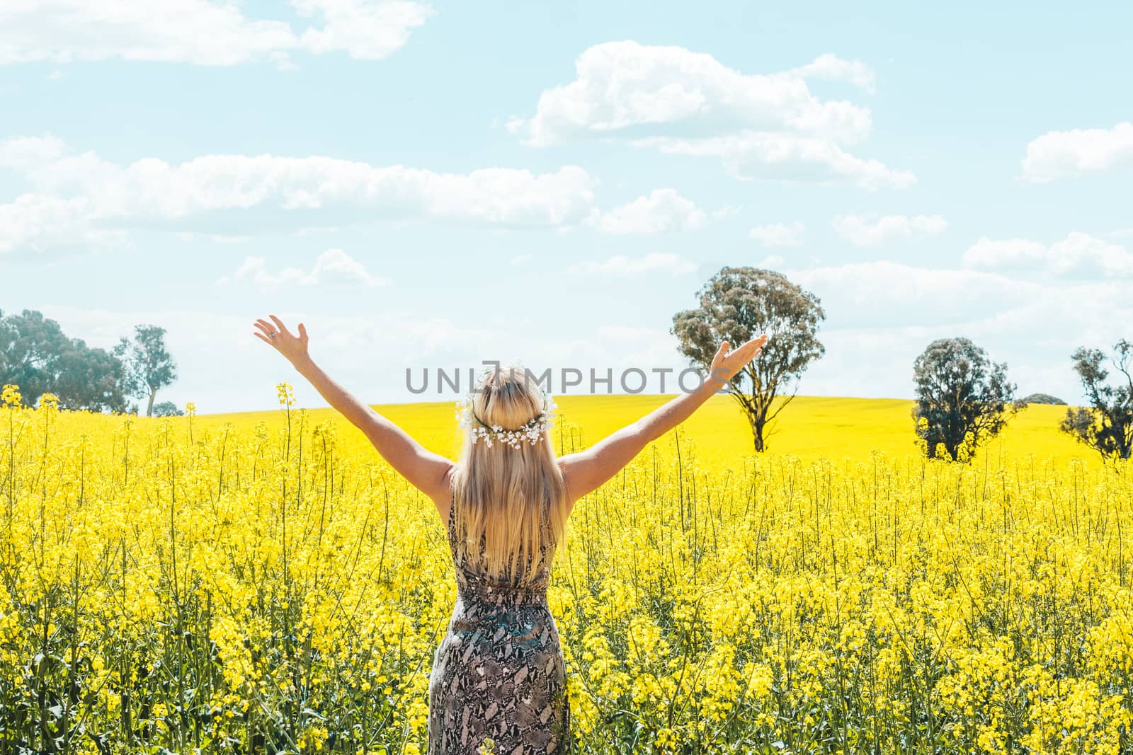 Woman in dress arms in the air standing in front of olden canola fields by lovleah