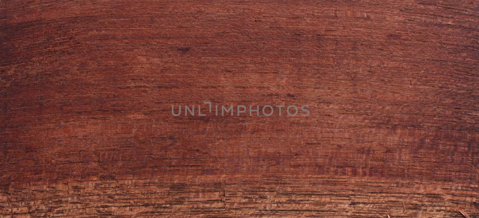 Wood background - Wood from the tropical rainforest - Suriname - Epurua Falcata