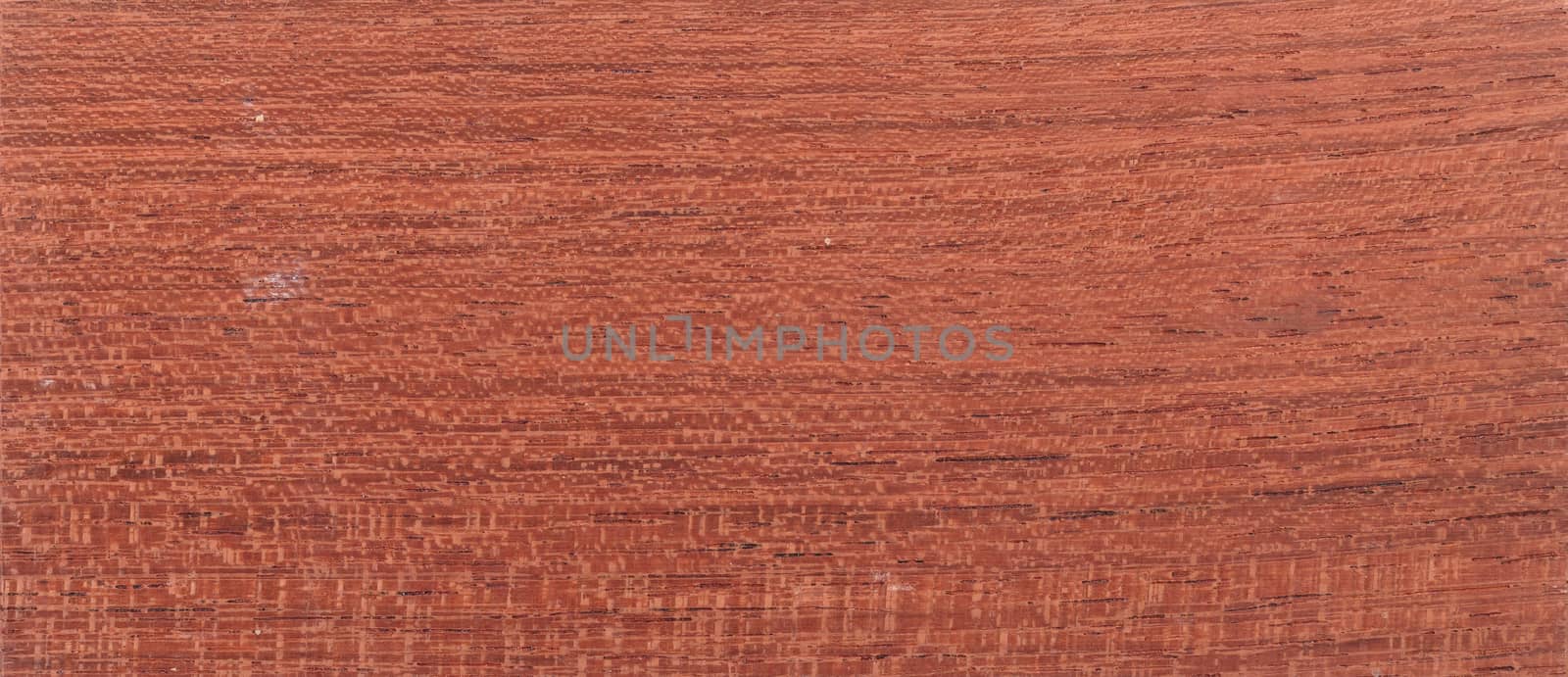 Wood background - Wood from the tropical rainforest - Suriname - Hymenaea courbaril