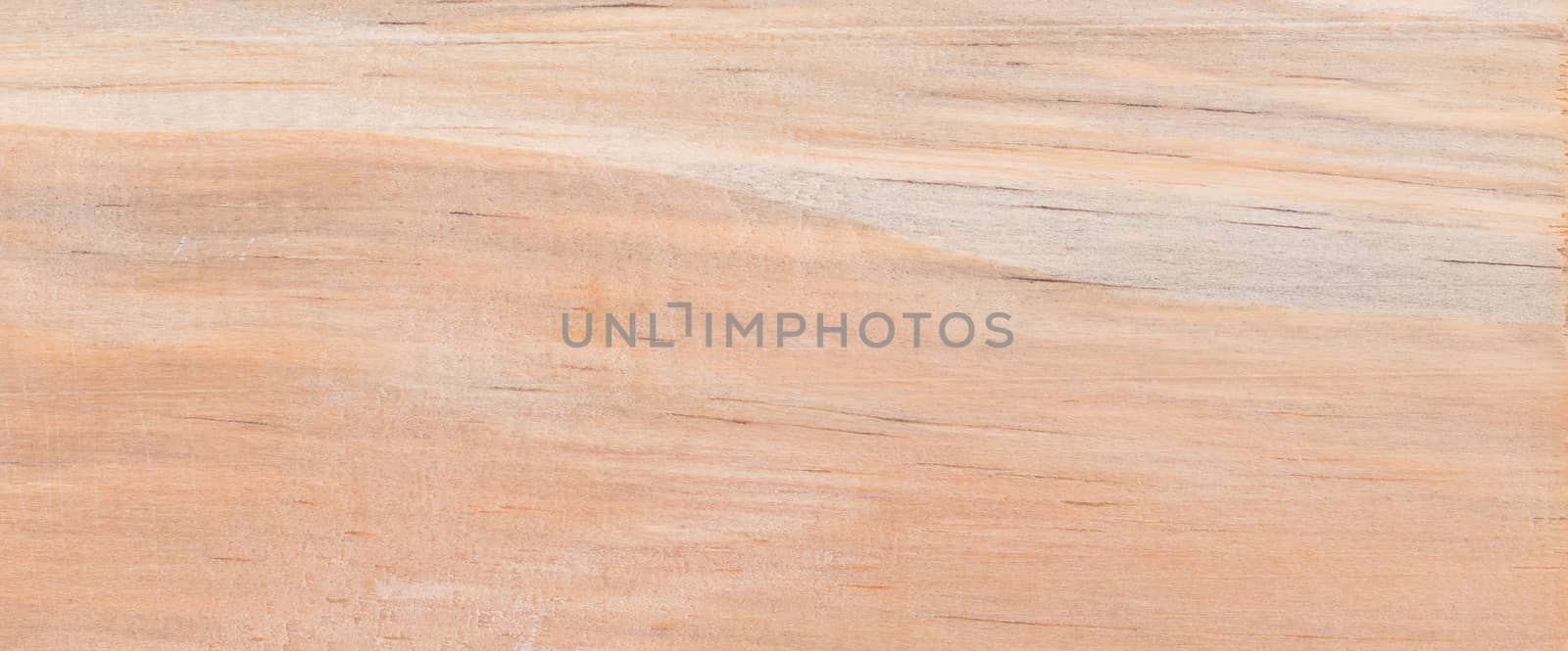 Wood background - Wood from the tropical rainforest - Suriname - Pinus caribaez