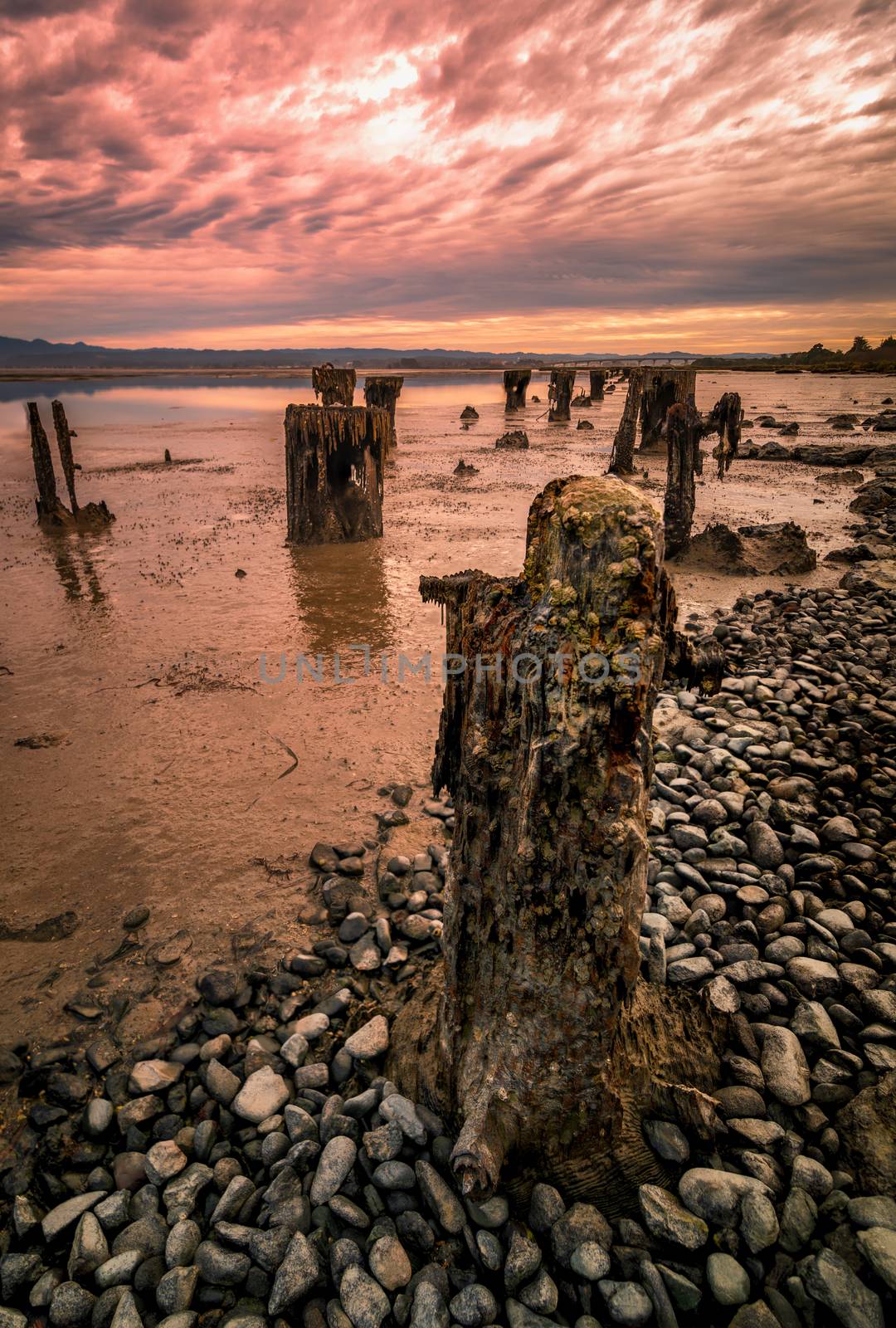 Sunset shot over old pier posts which once held the old wharf over Humboldt Bay, California.