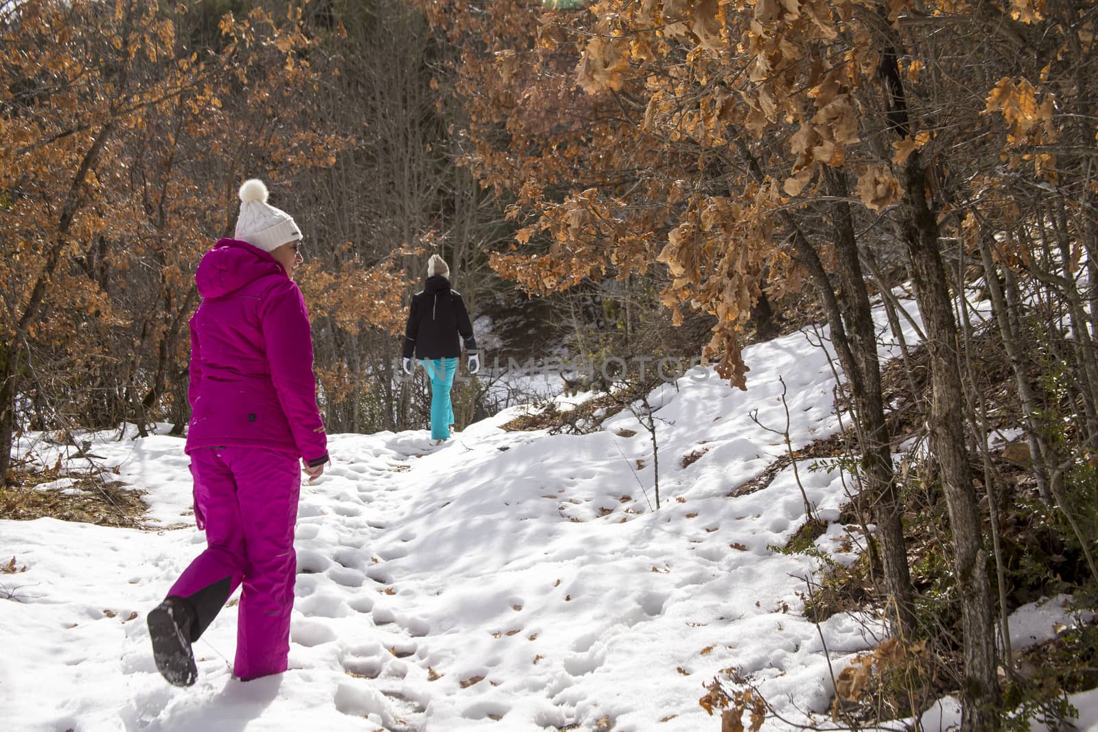 Mom and daughter, dressed in ski suits, are hiking in a snowy winter forest on a sunny day. On the branches of trees, dry yellow leaves are illuminated by the sun.