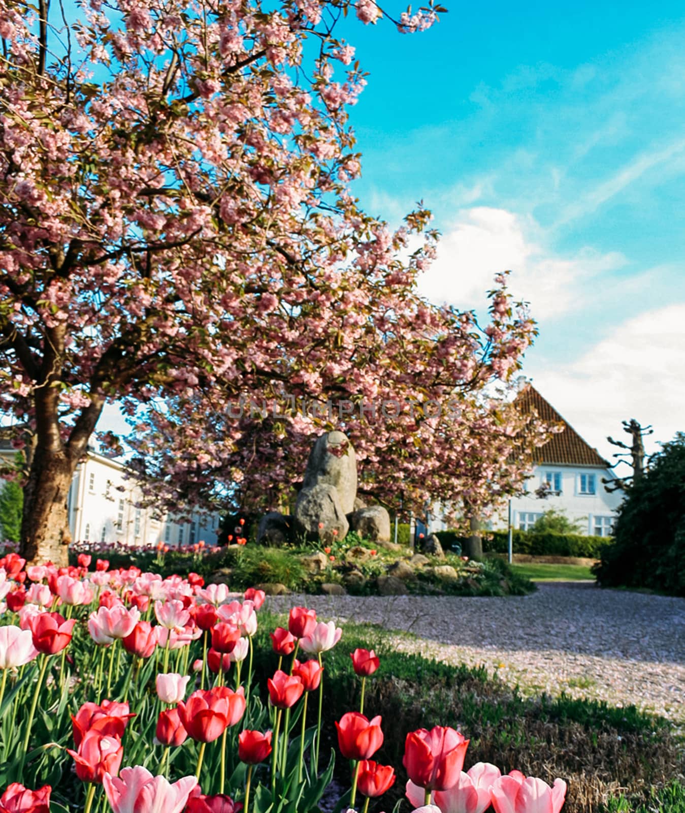 Springtime on the rural street by a_mikos