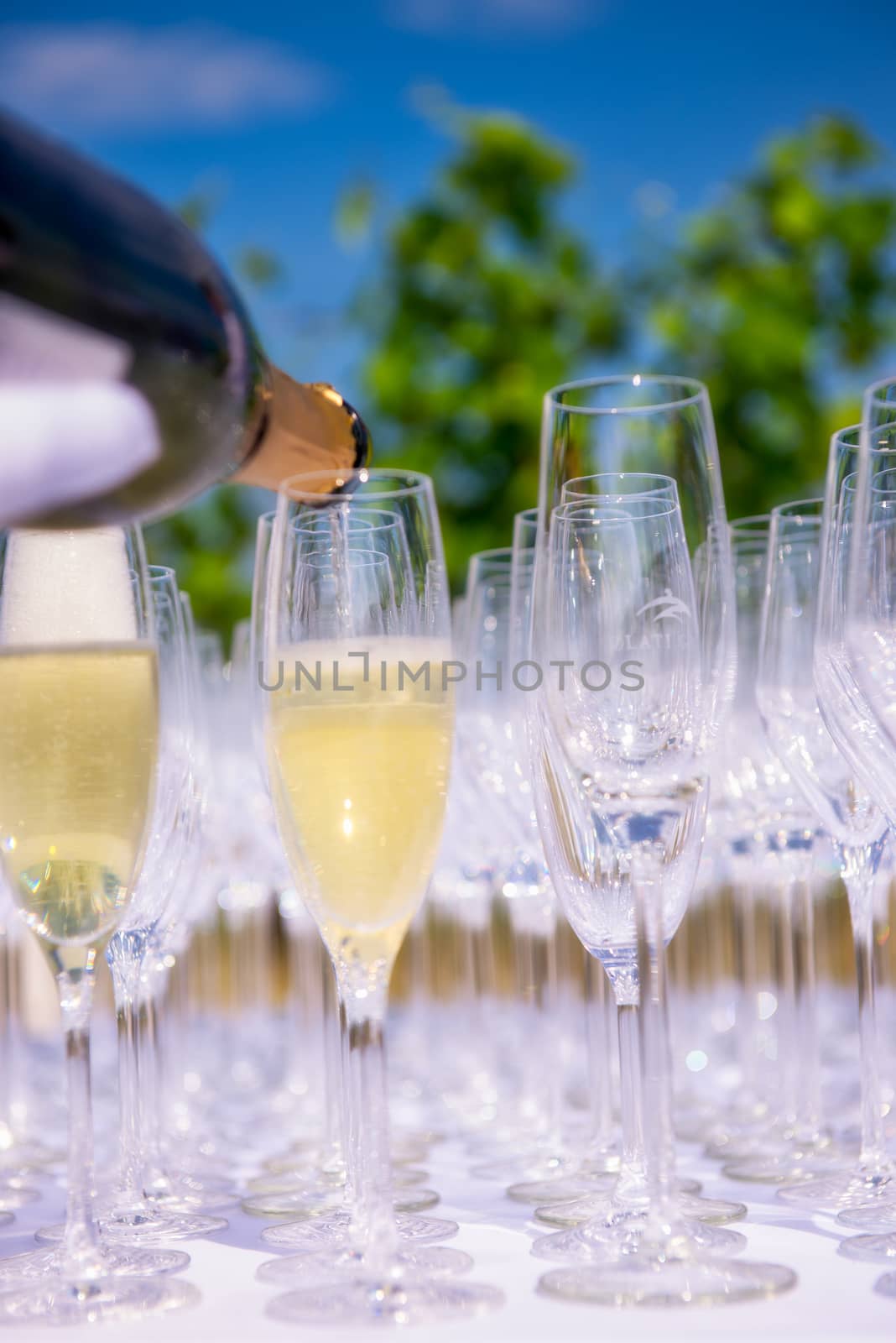 Pouring champagne, sparkling wine into glasses by asafaric