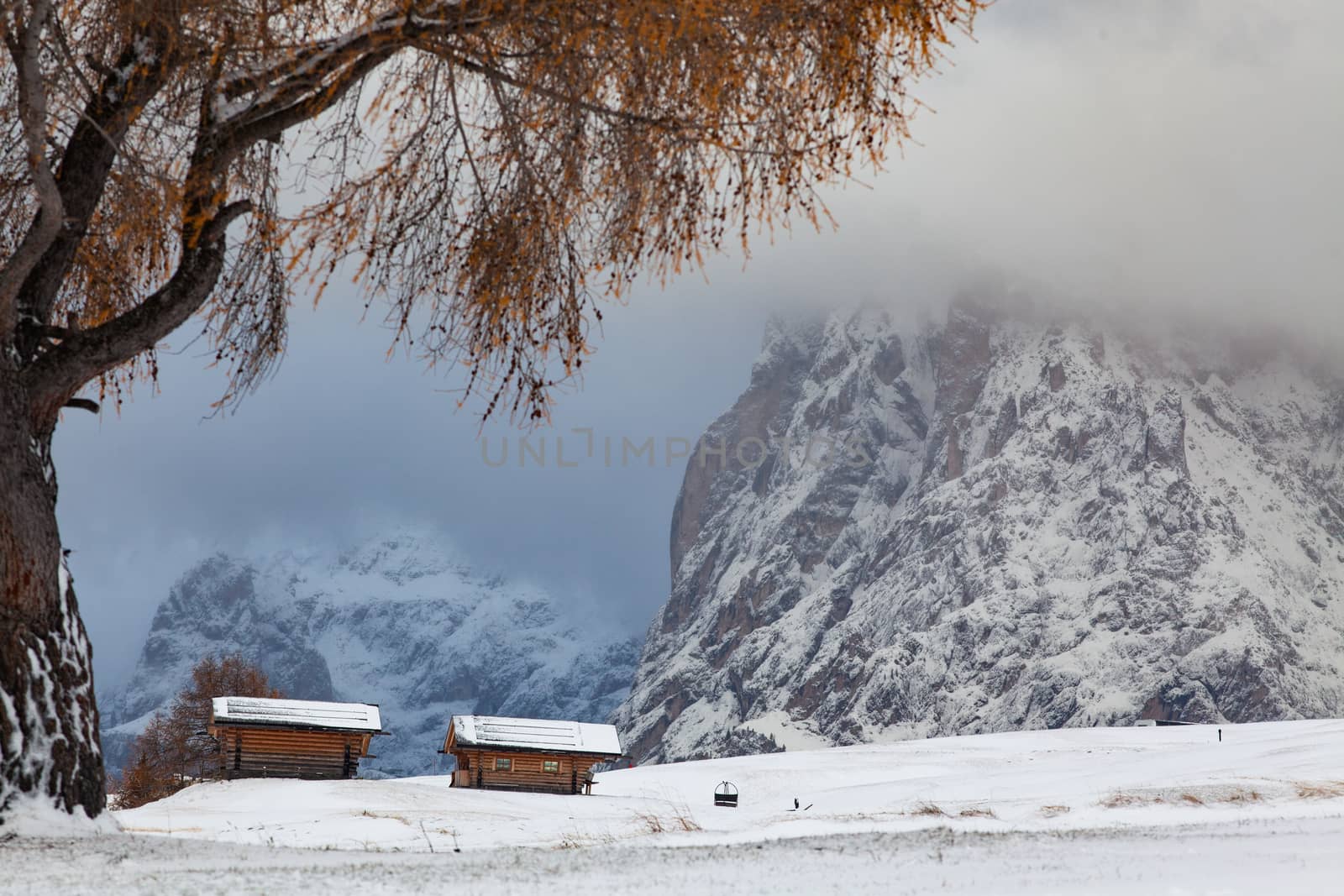 snowy early winter landscape in Alpe di Siusi.  Dolomites,  Ital by melis