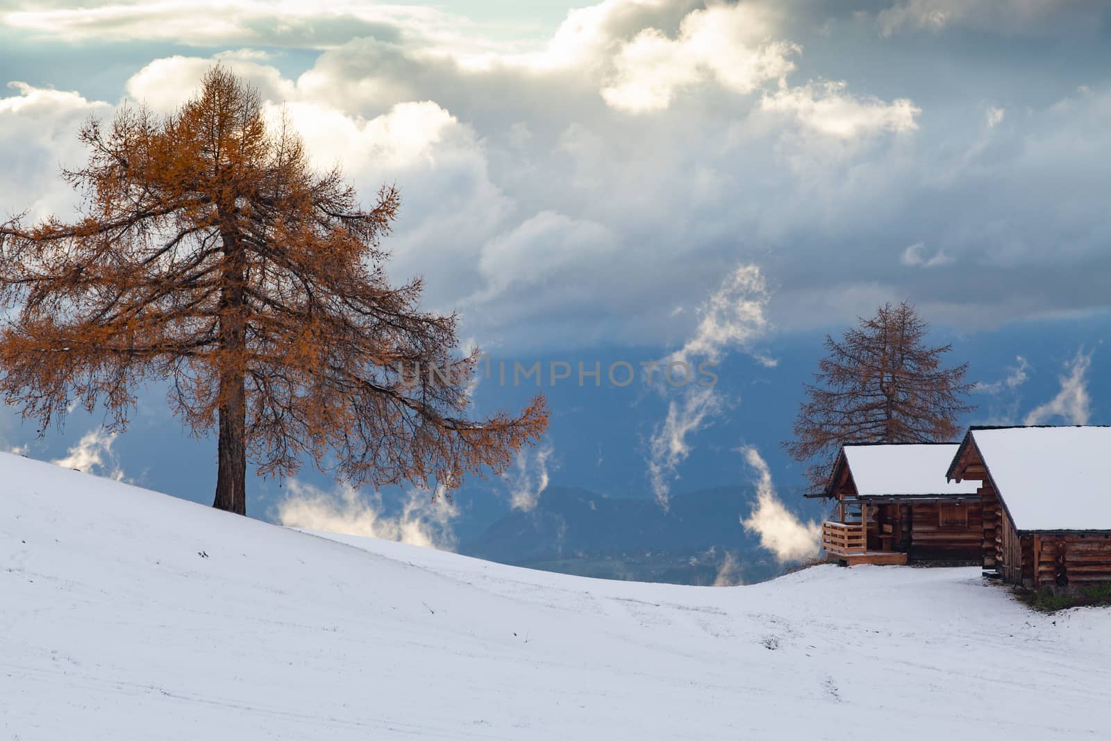 snowy early winter landscape in Alpe di Siusi.  Dolomites,  Ital by melis