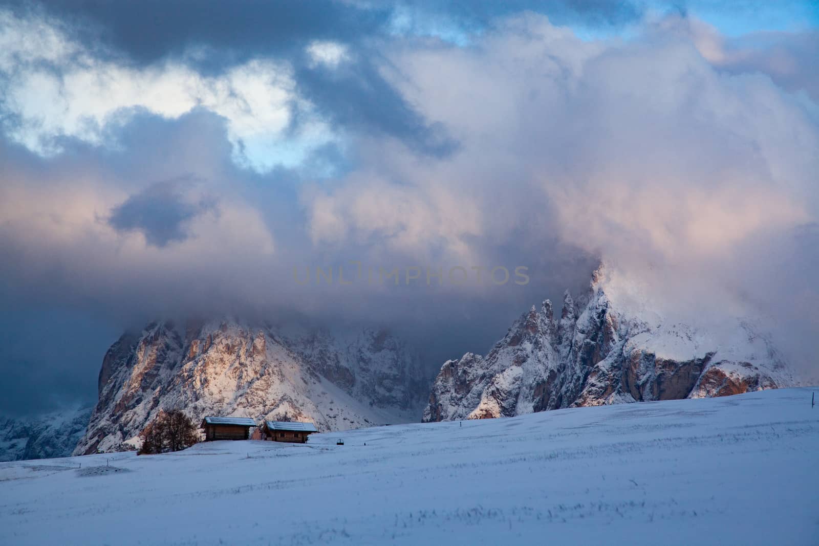 snowy early winter landscape in Alpe di Siusi.  Dolomites,  Ital by melis