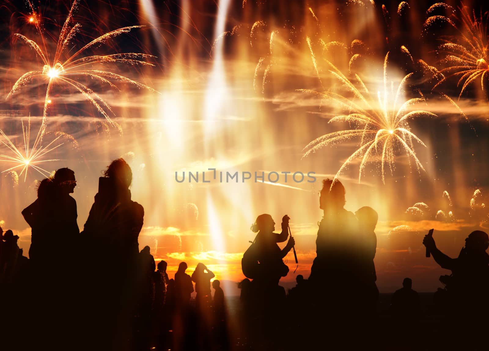 crowd of people watching fireworks