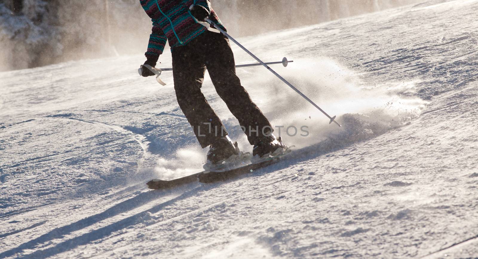 PALTINIS, ROMANIA - JANUARY 24, 2018: Unidentified skier on ski slope on January 24, 2018 in Paltinis, one of the oldest ski resorts in Romania.