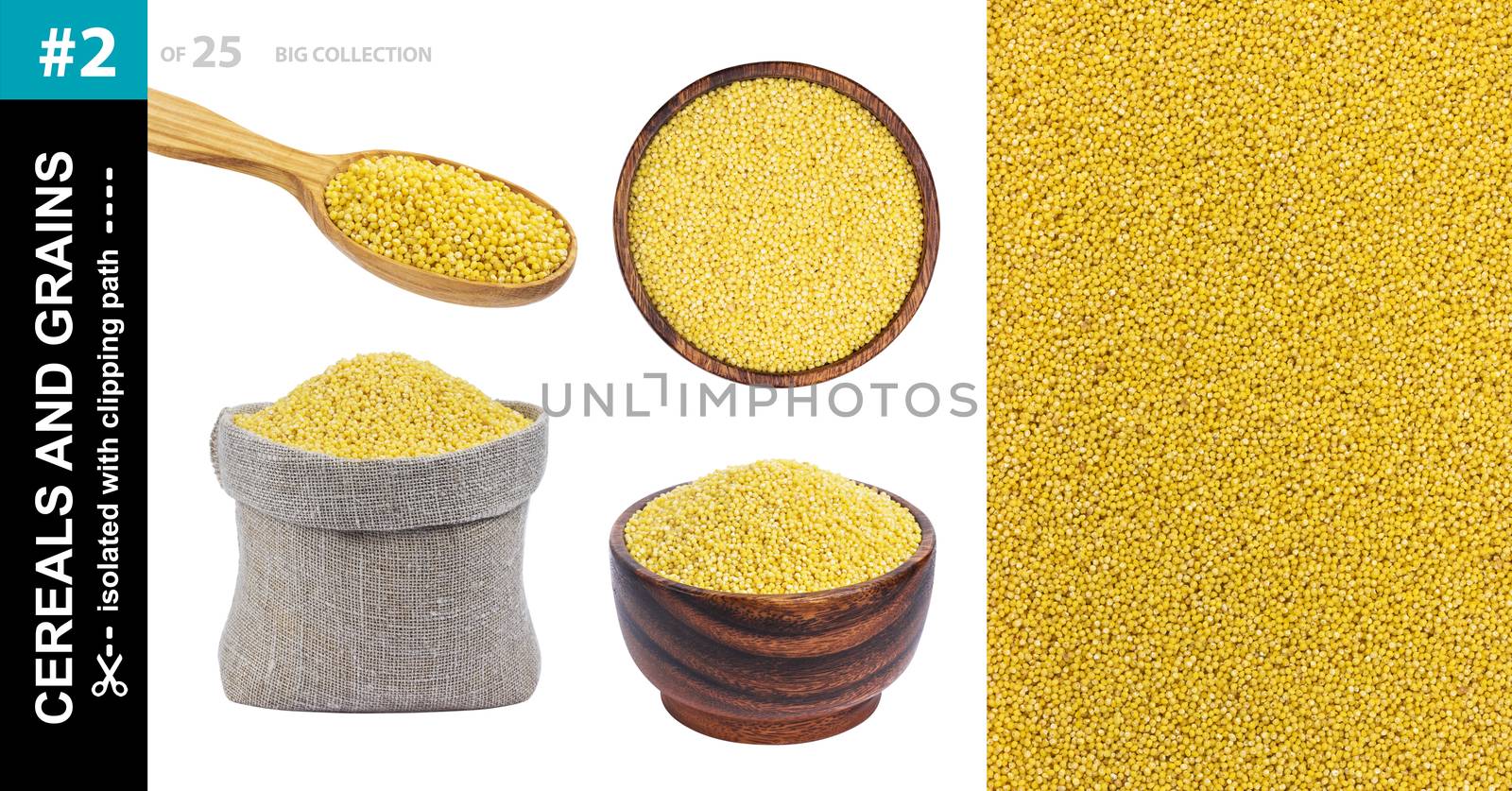 Millet seeds in different dishware isolated on white background, millet grains in bowl, spoon and bag, collection