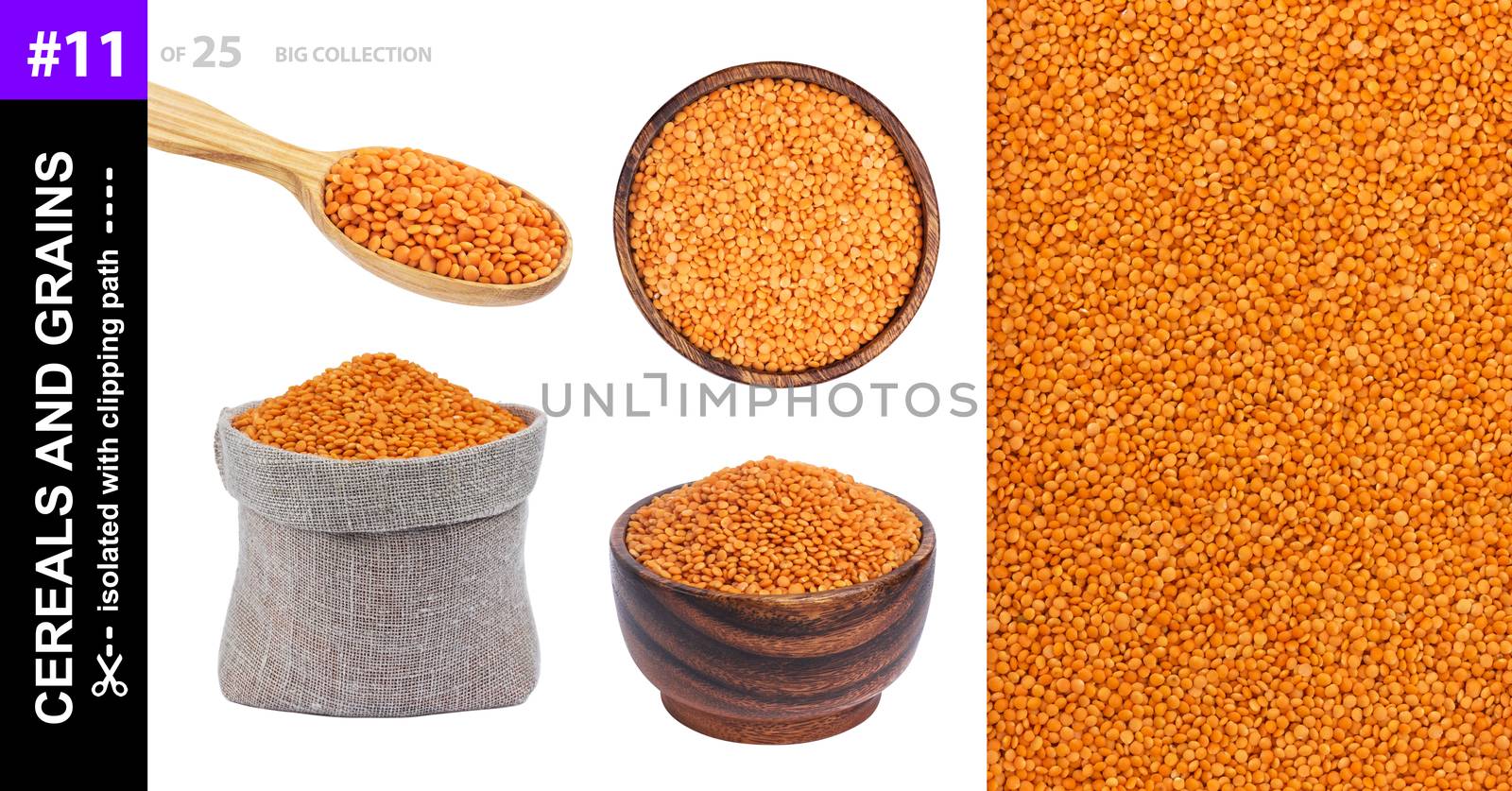 Red lentils in different dishware isolated on white background, red lentils in bowl, spoon and bag, collection
