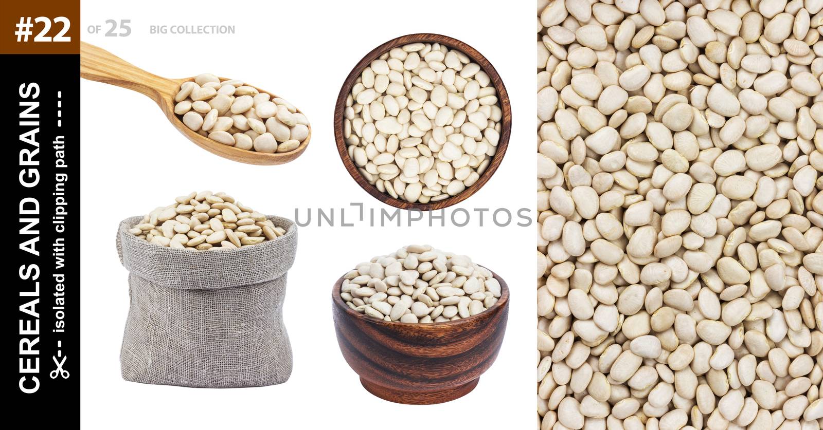 White beans in different dishware isolated on white background, collection by xamtiw