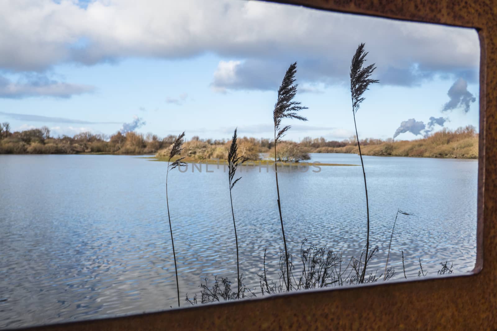 view from a viewpoint at the brede water with a pond, water plants small islands and the smoke from the europoort industry at the background