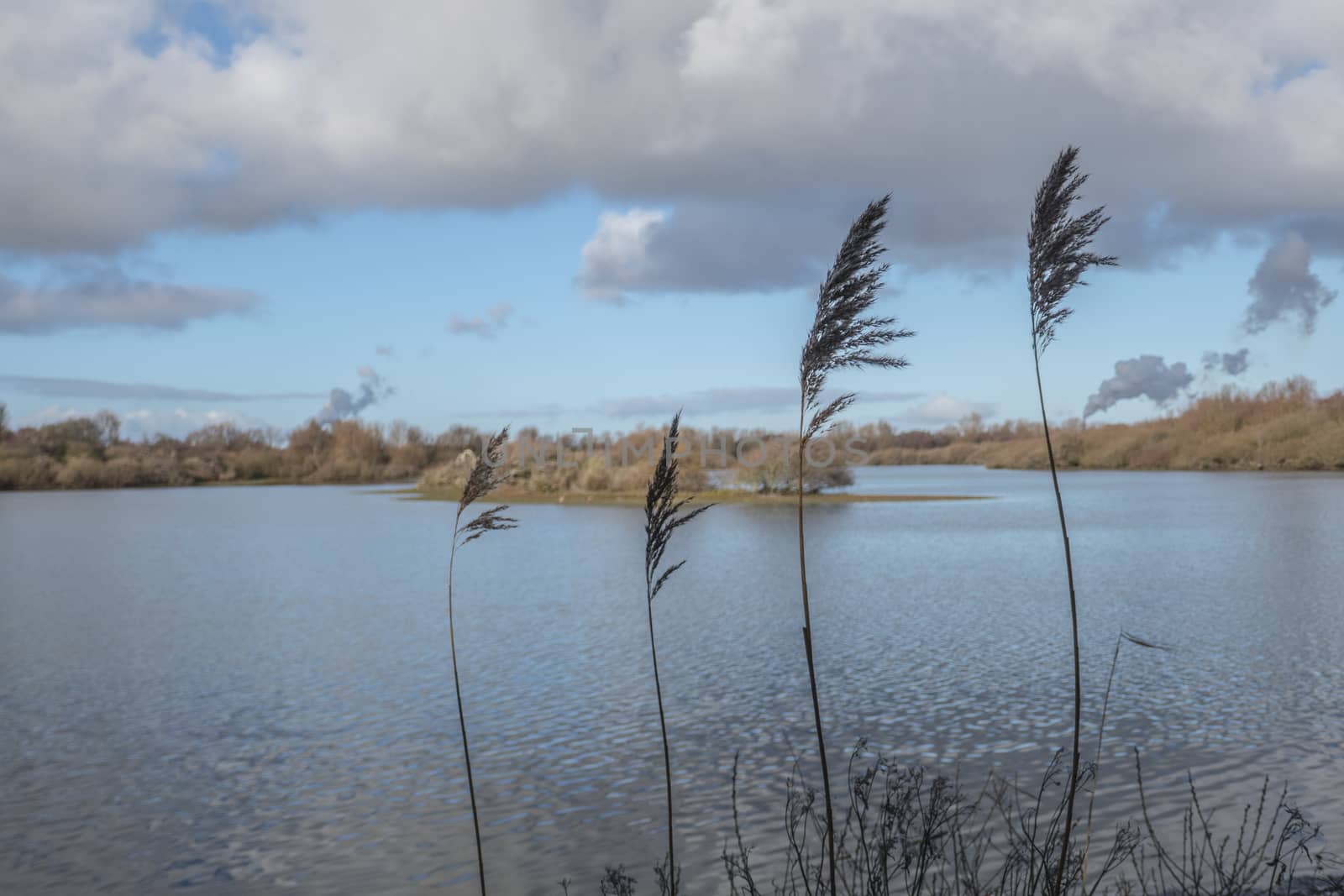 view from a viewpoint at the brede water with a pond, water plants small islands and the smoke from the europoort industry at the background