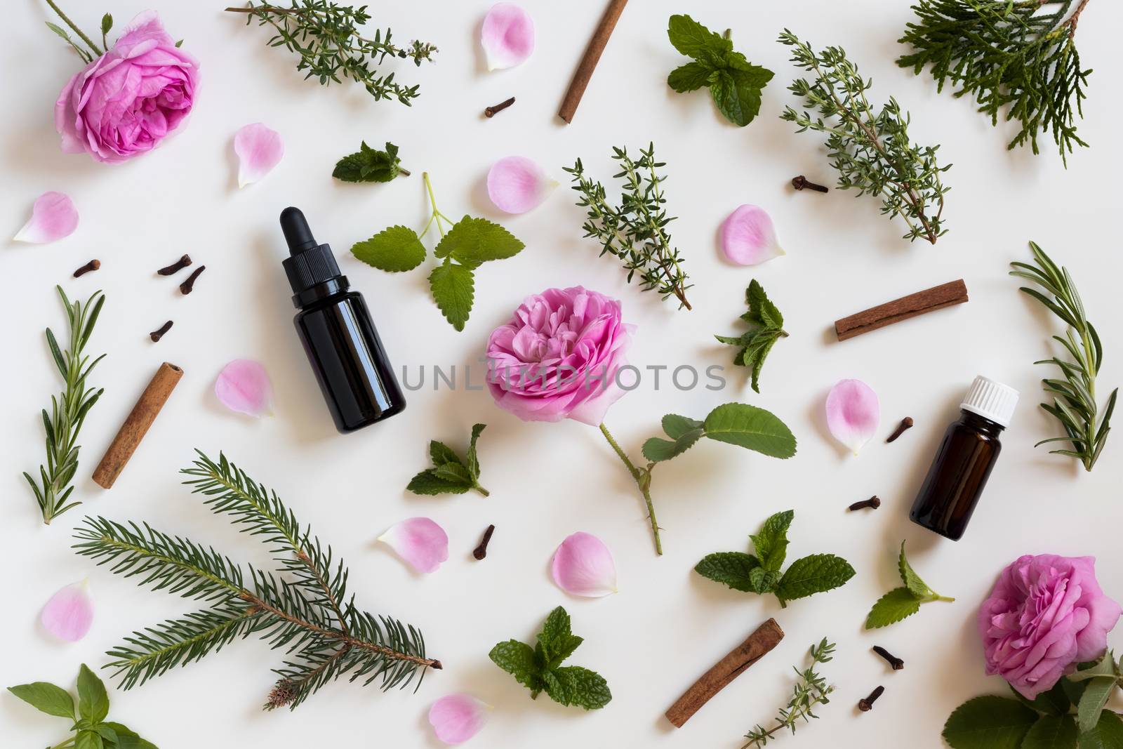 Selection of essential oils and herbs on a white background by madeleine_steinbach
